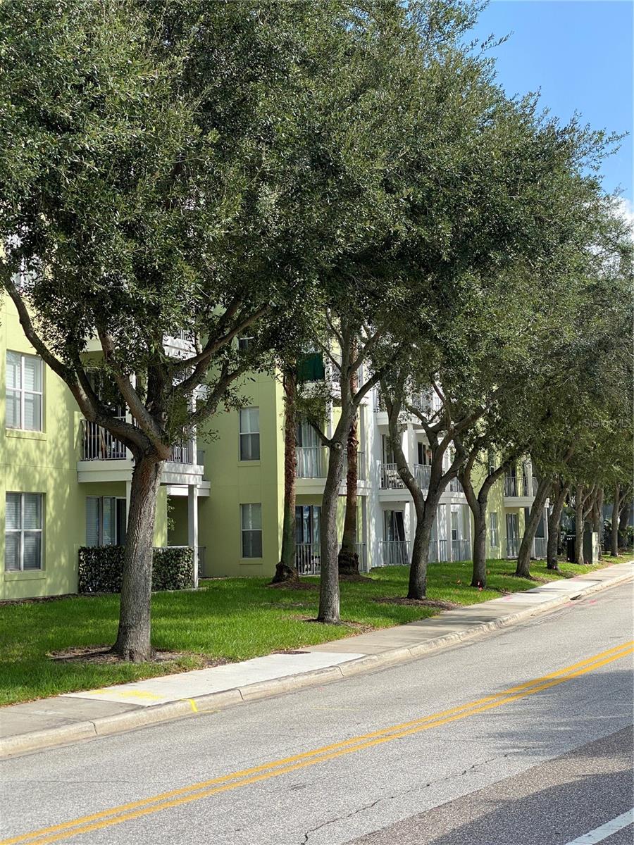 1501 DOYLE CARLTON DR #305, TAMPA, FL, 33602