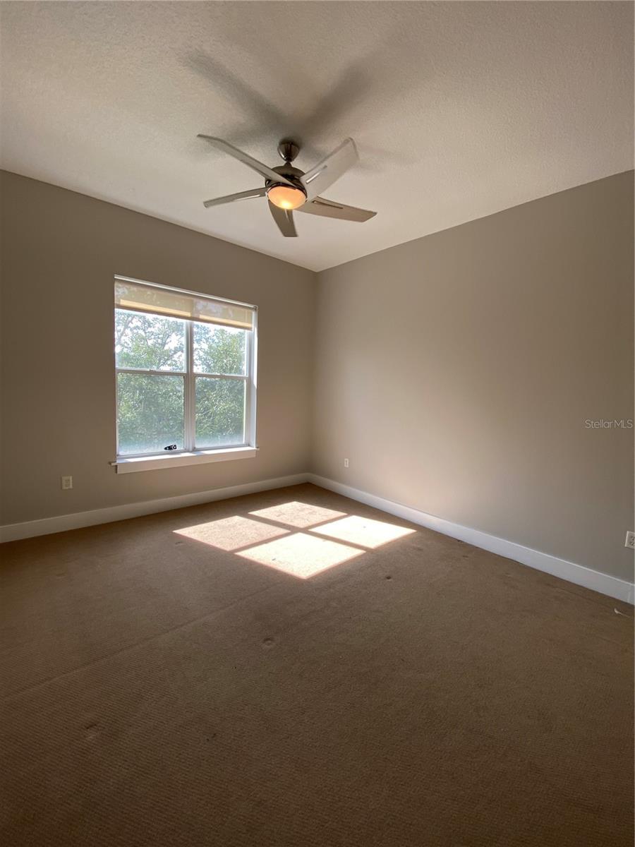 1501 DOYLE CARLTON DR #305, TAMPA, FL, 33602