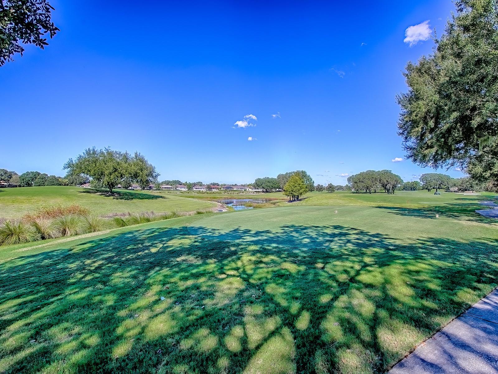 17627 SE 88TH COVINGTON CIR, THE VILLAGES, FL, 32162