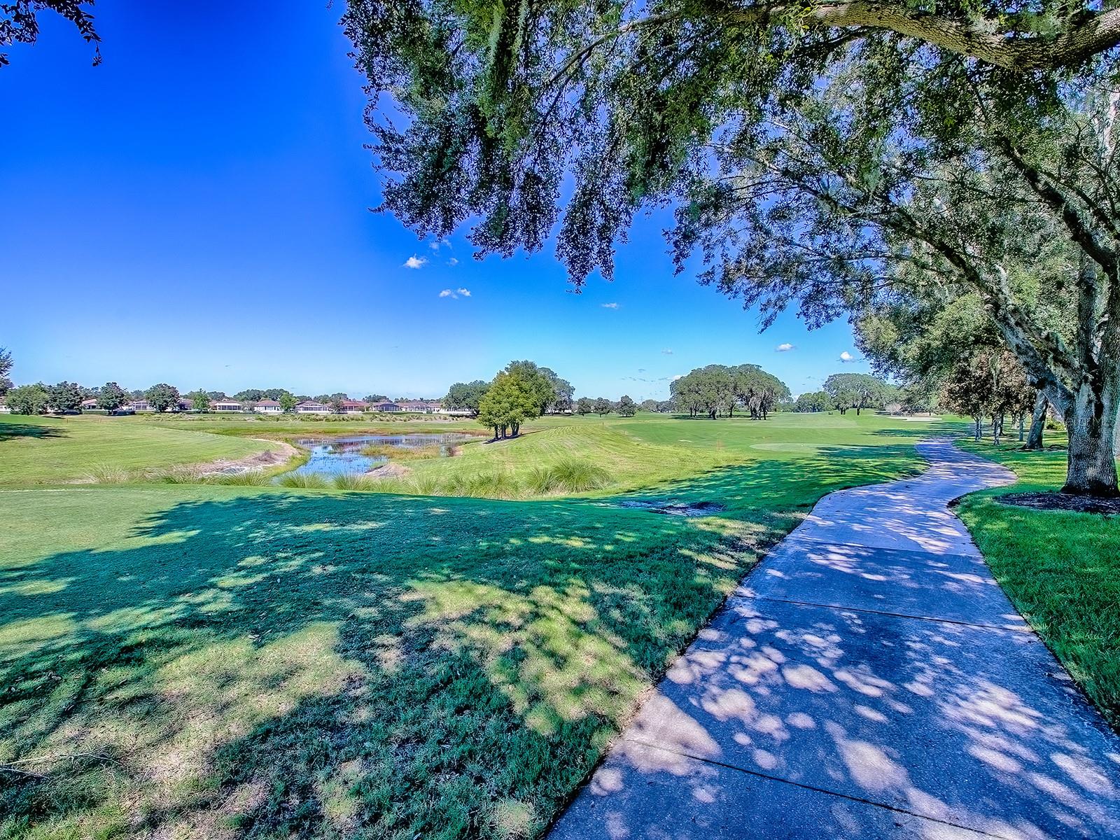 17627 SE 88TH COVINGTON CIR, THE VILLAGES, FL, 32162