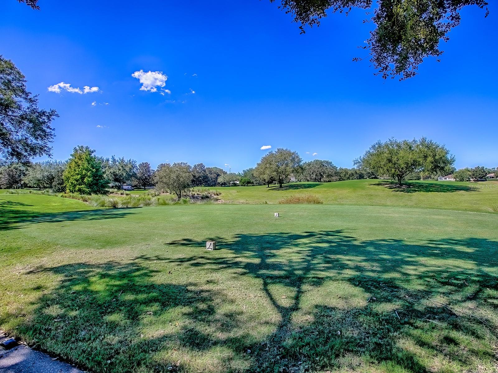 17627 SE 88TH COVINGTON CIR, THE VILLAGES, FL, 32162