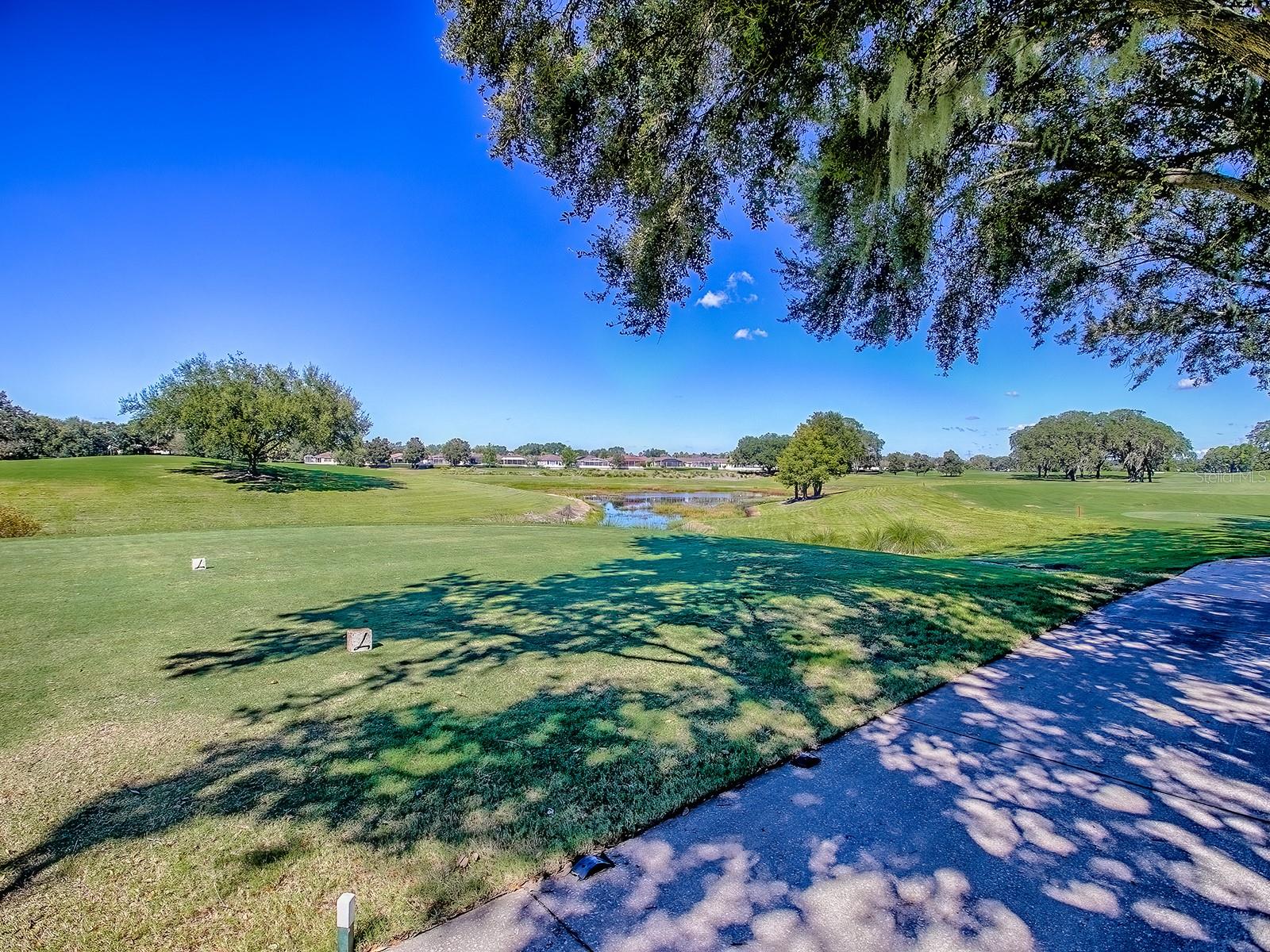 17627 SE 88TH COVINGTON CIR, THE VILLAGES, FL, 32162