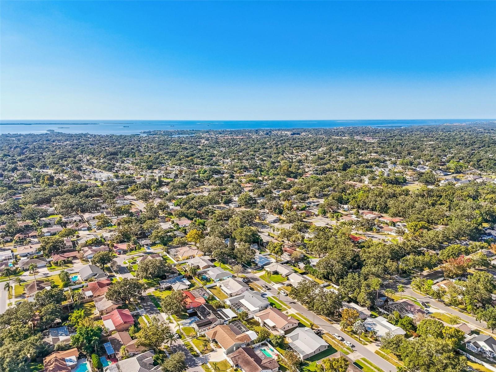 2039 KINGFISHER DR, PALM HARBOR, FL, 34683