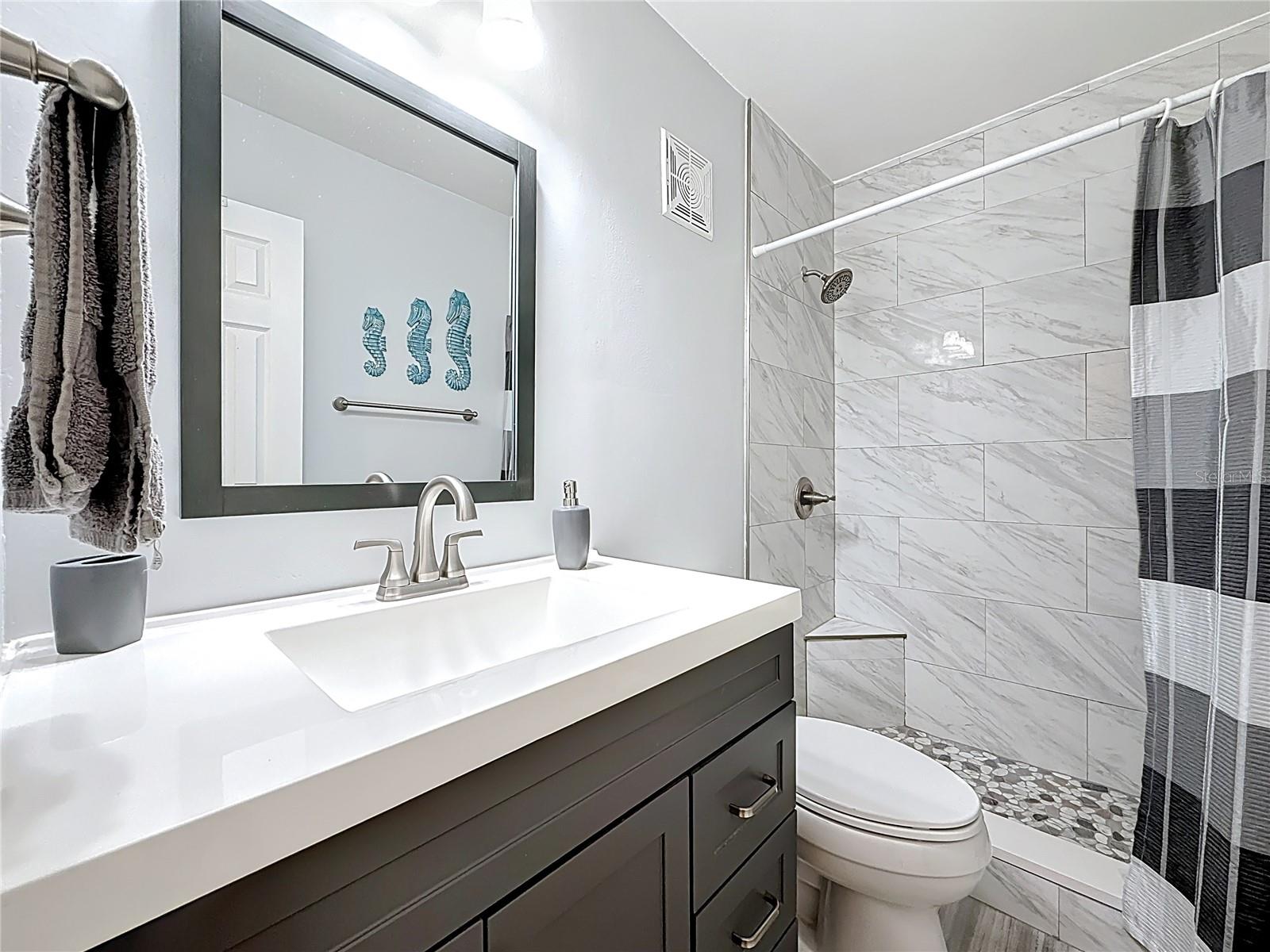 The guest bathroom has a nice shower.