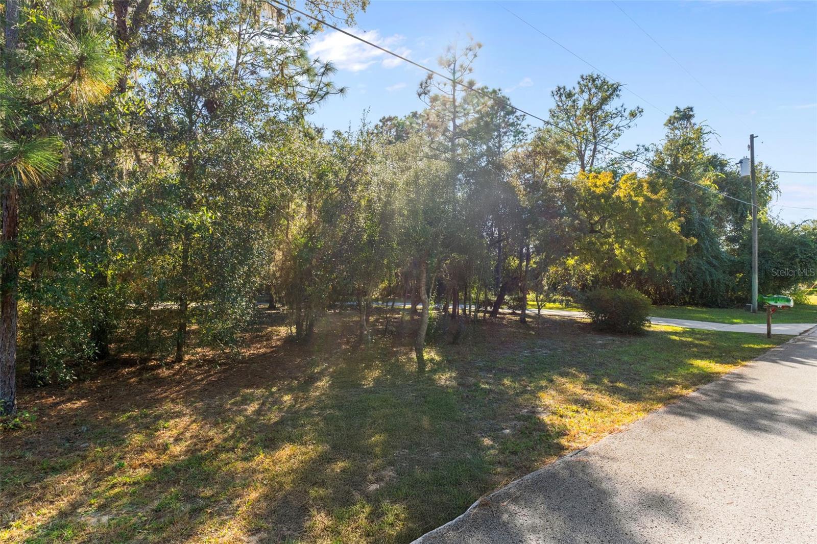 1370 E CLEVELAND ST, HERNANDO, FL, 34442