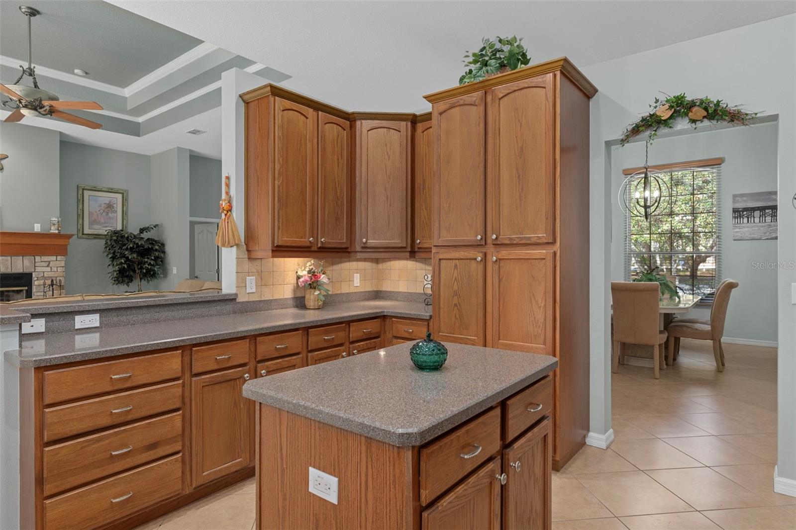 1370 E CLEVELAND ST, HERNANDO, FL, 34442