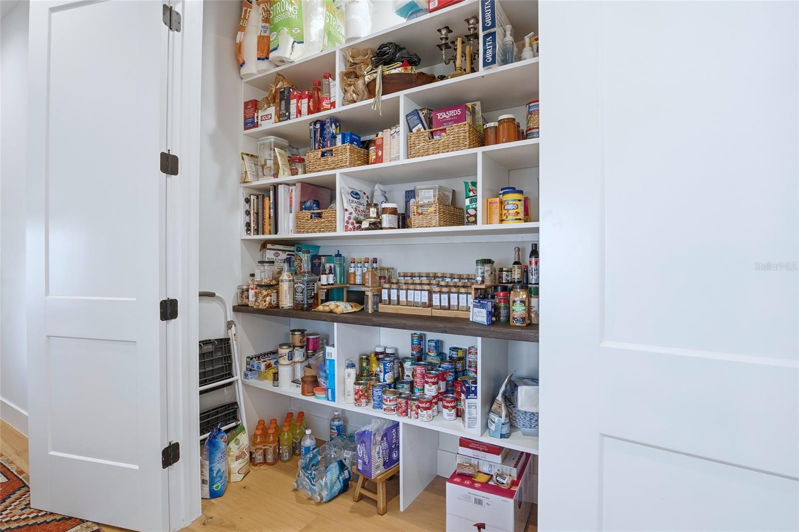 1101 EAGLES PASS WAY, WINTER GARDEN, FL, 34787