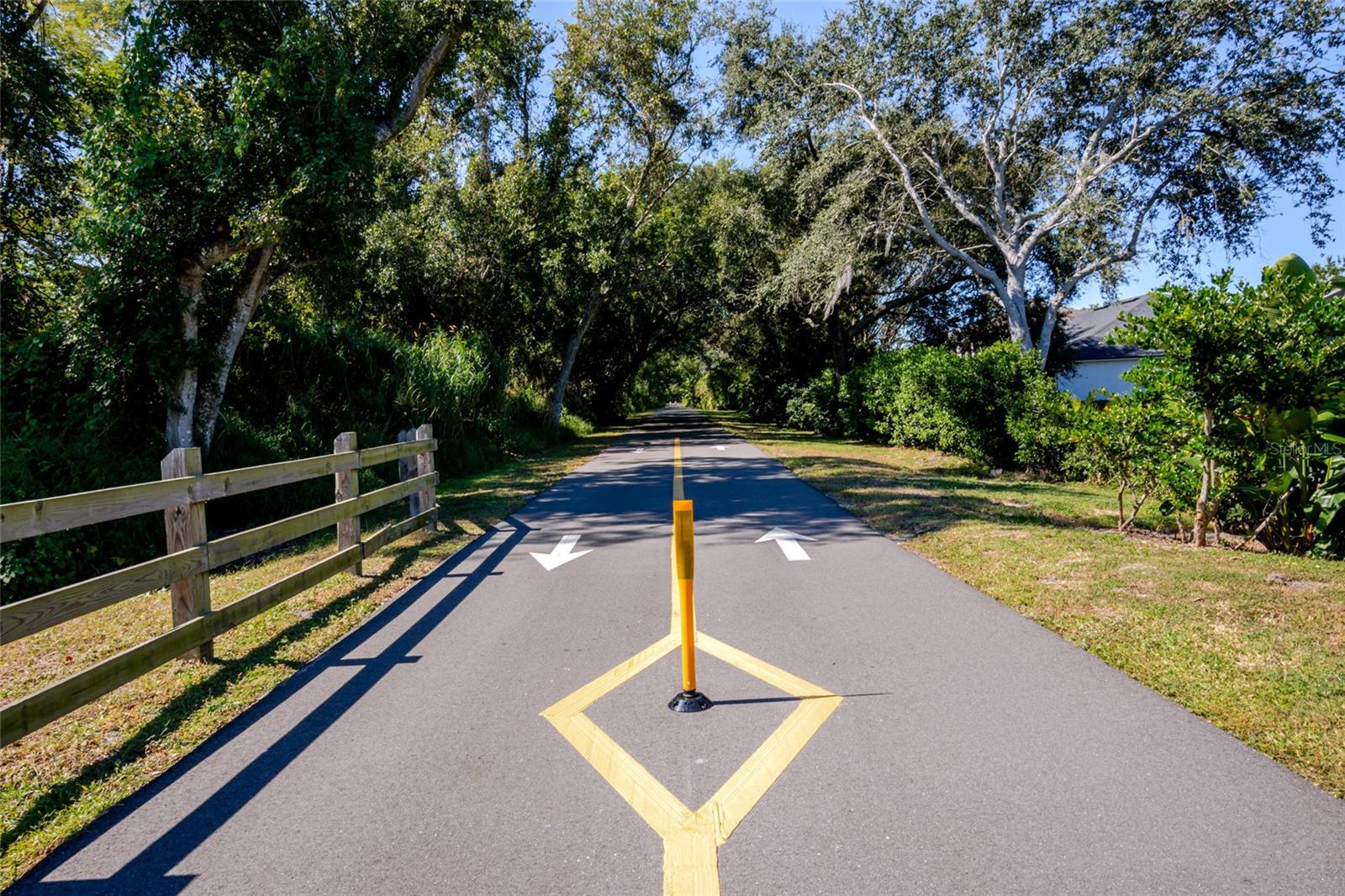 1101 EAGLES PASS WAY, WINTER GARDEN, FL, 34787