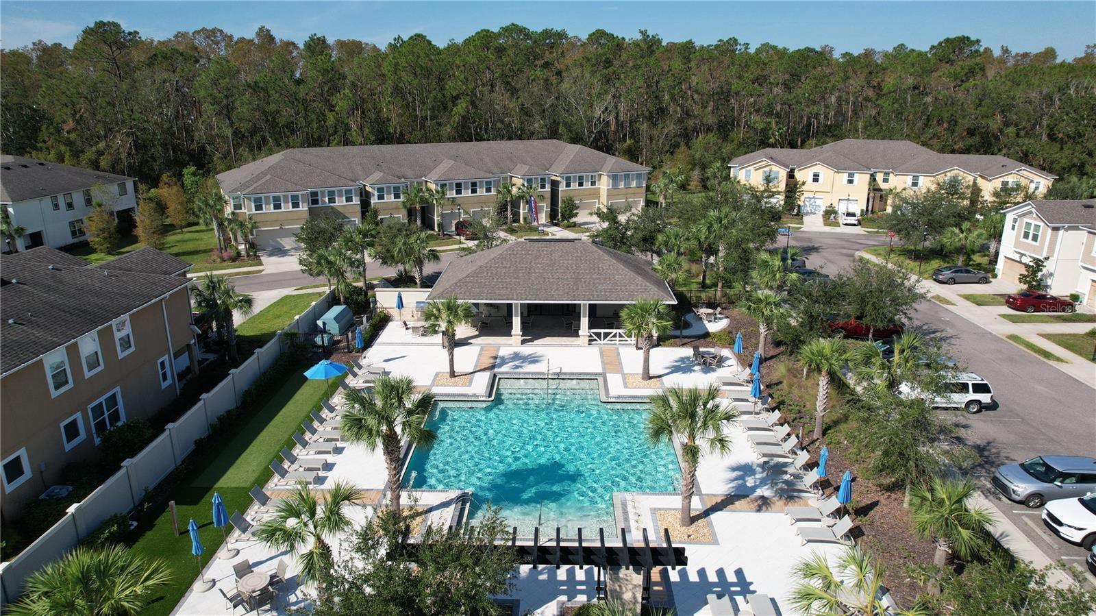 Lakeshore Preserve Pool