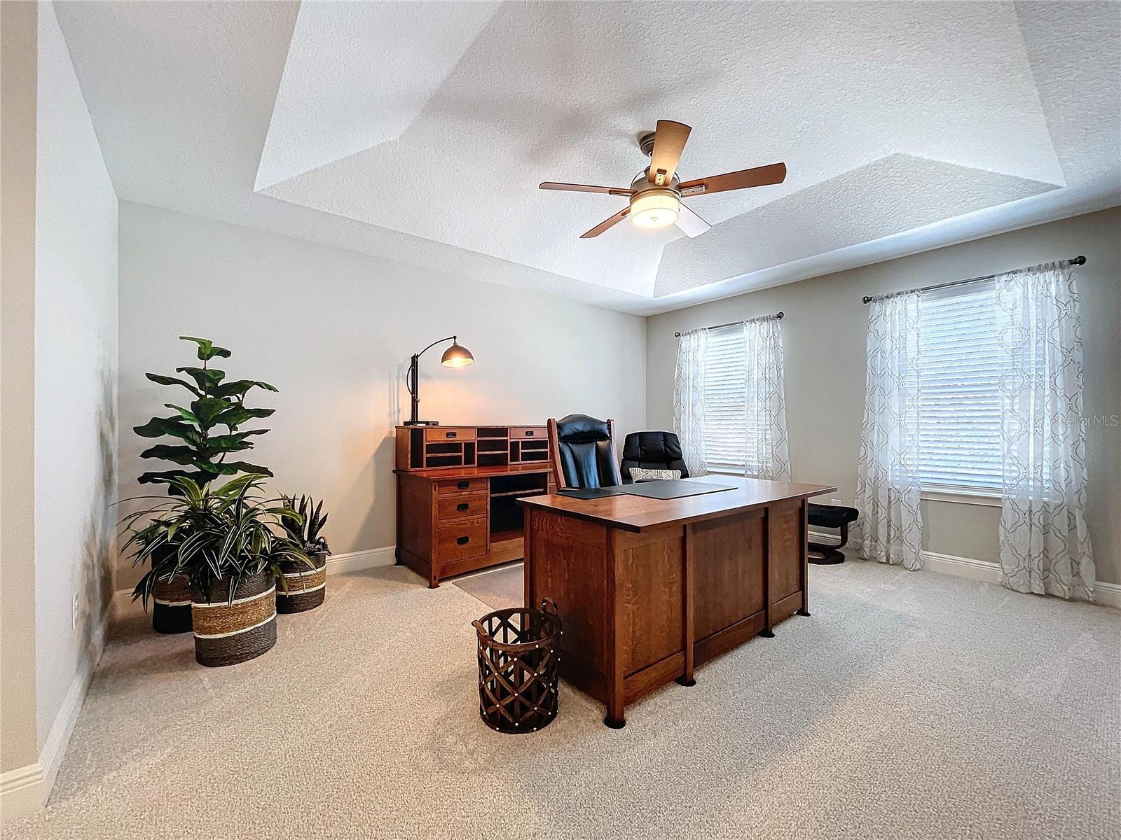 Office or Second Primary