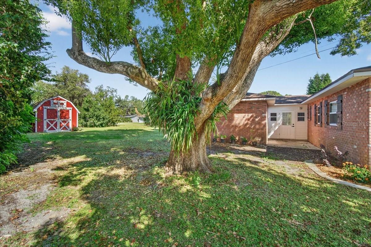 234 COLEMAN DR E, WINTER HAVEN, FL, 33884