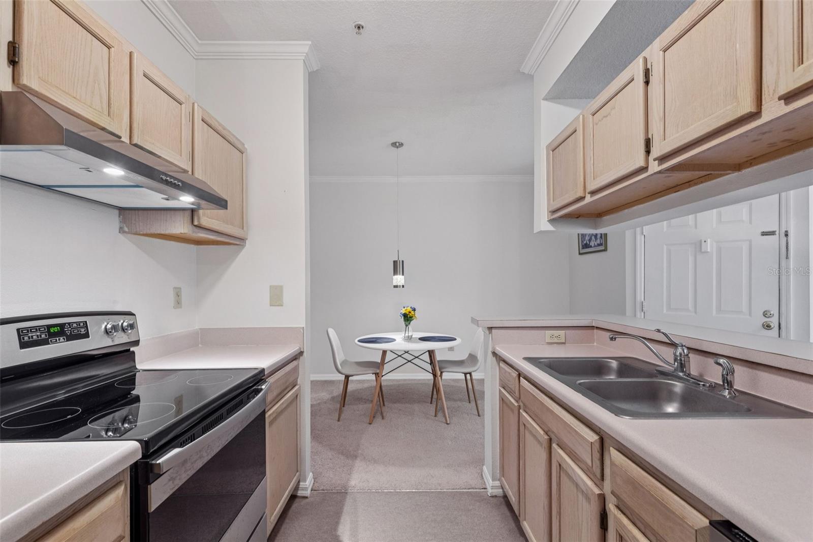 5616 PINNACLE HEIGHTS CIR #307, TAMPA, FL, 33624