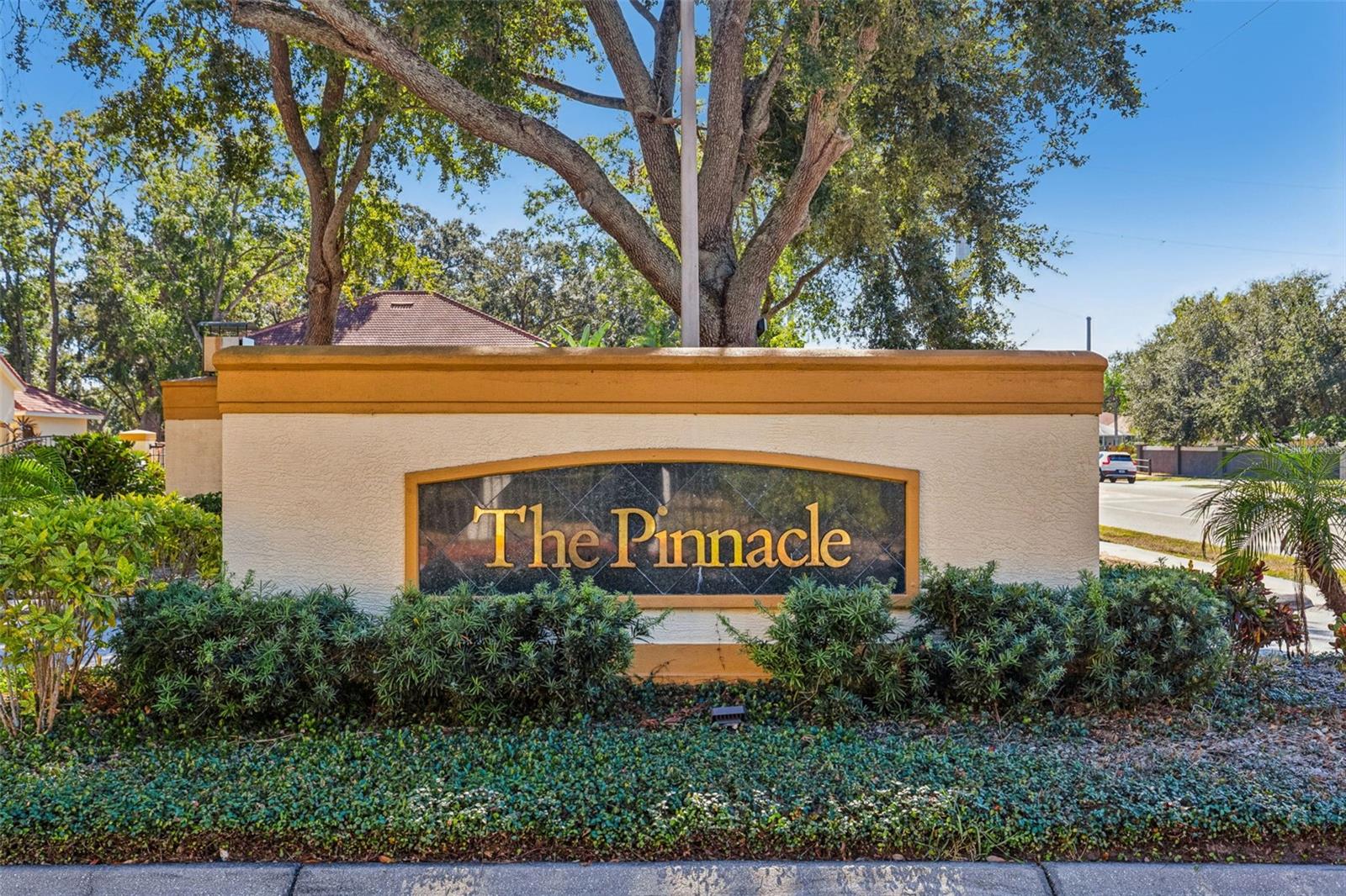 5616 PINNACLE HEIGHTS CIR #307, TAMPA, FL, 33624
