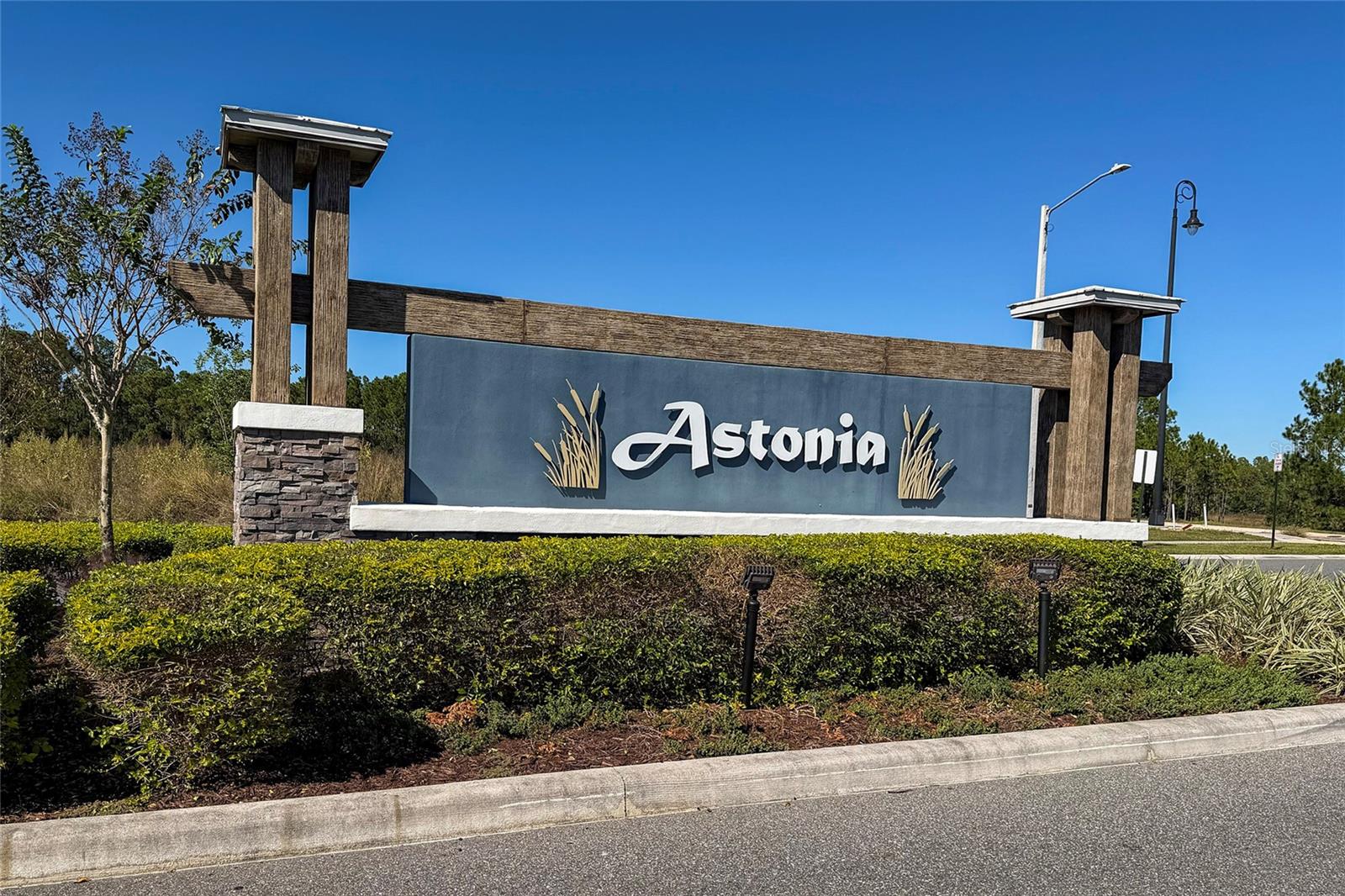 419 LILY LN, DAVENPORT, FL, 33837