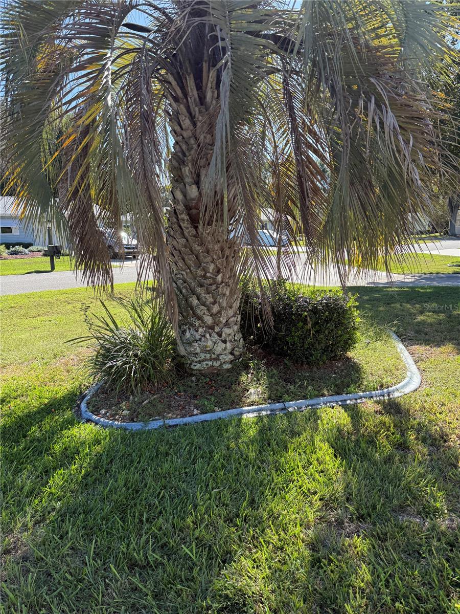 O6358200 Property Photo