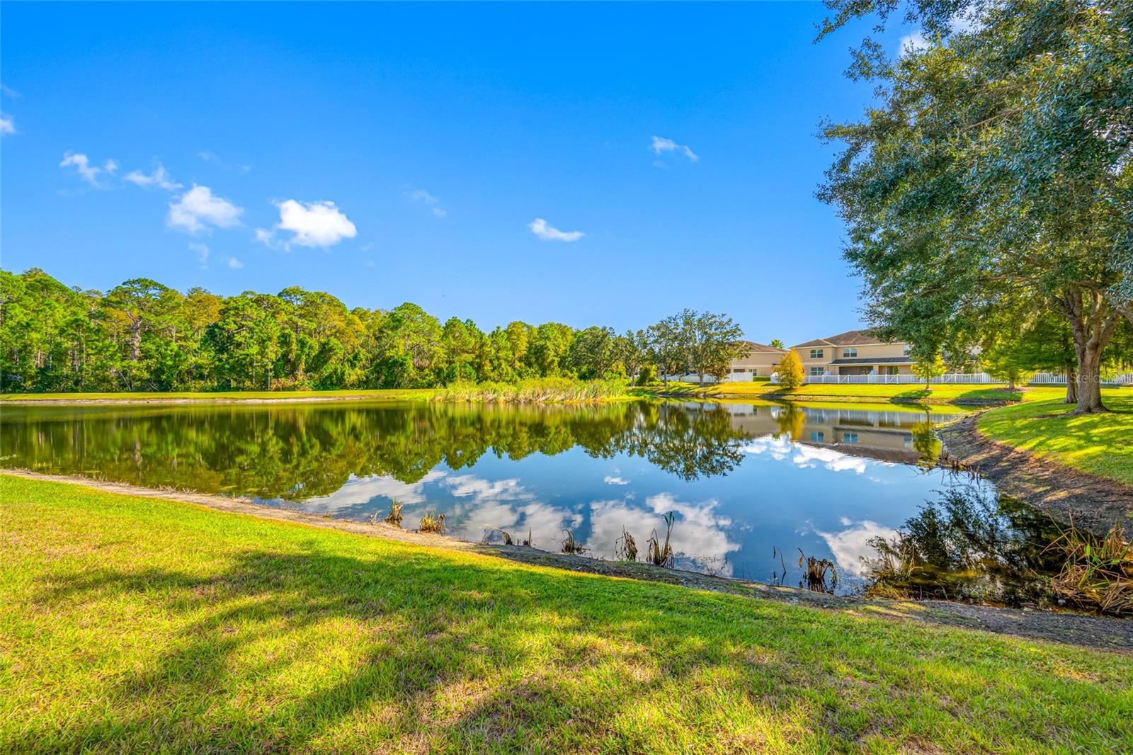 13730 ROYSTON BND, HUDSON, FL, 34669