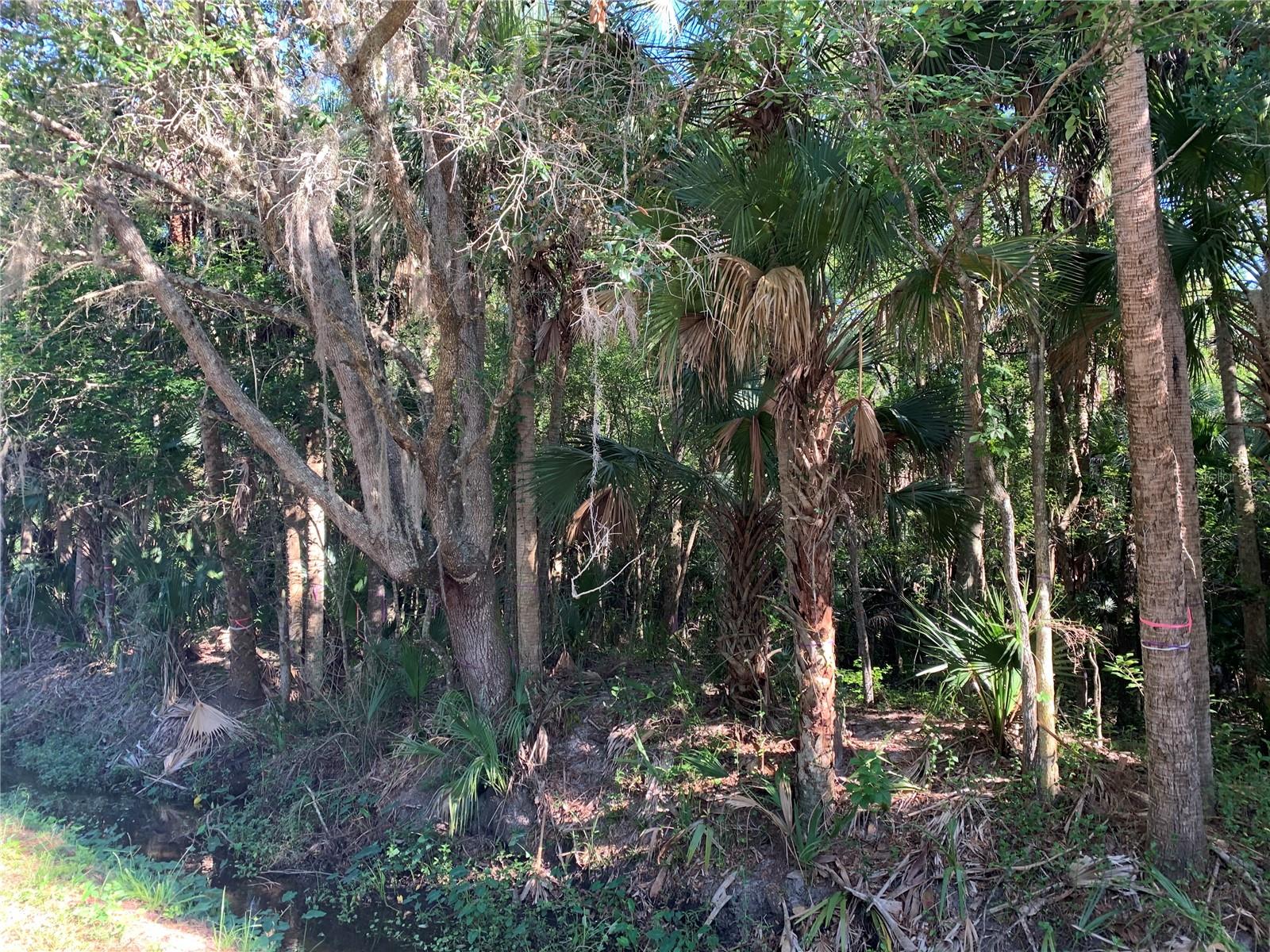 1310 PALM WAY, SANFORD, FL, 32773