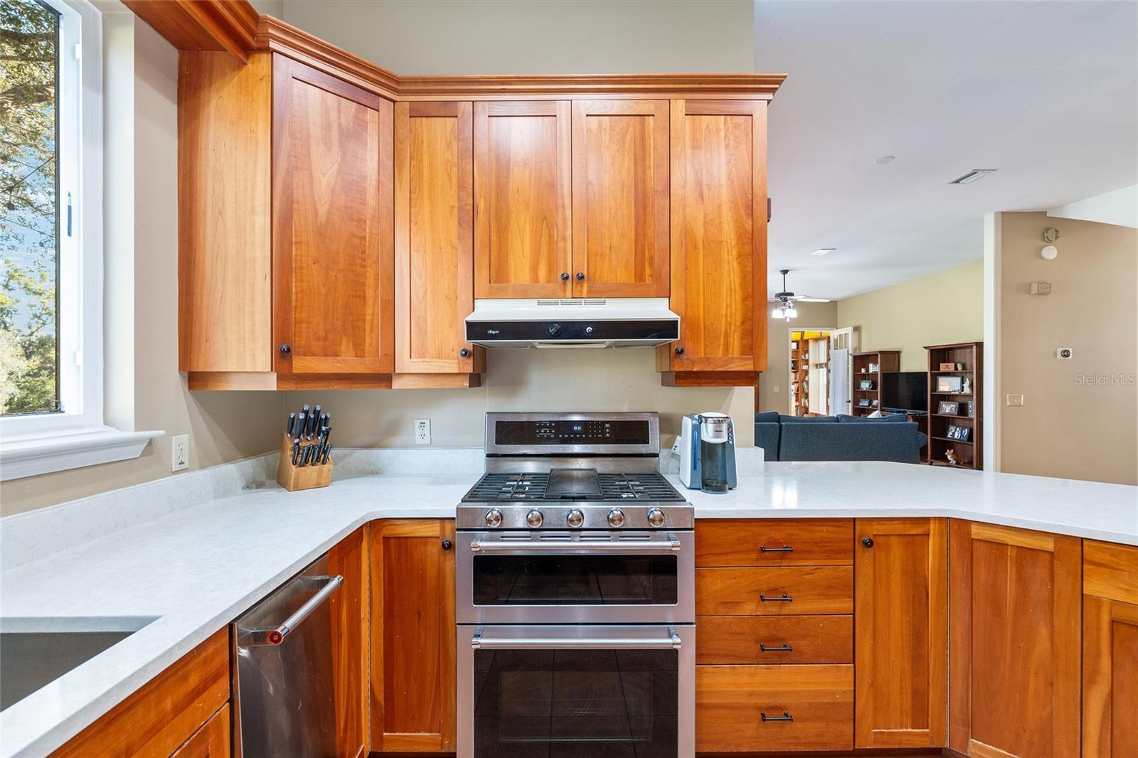 901 SW 87TH PL, OCALA, FL, 34476