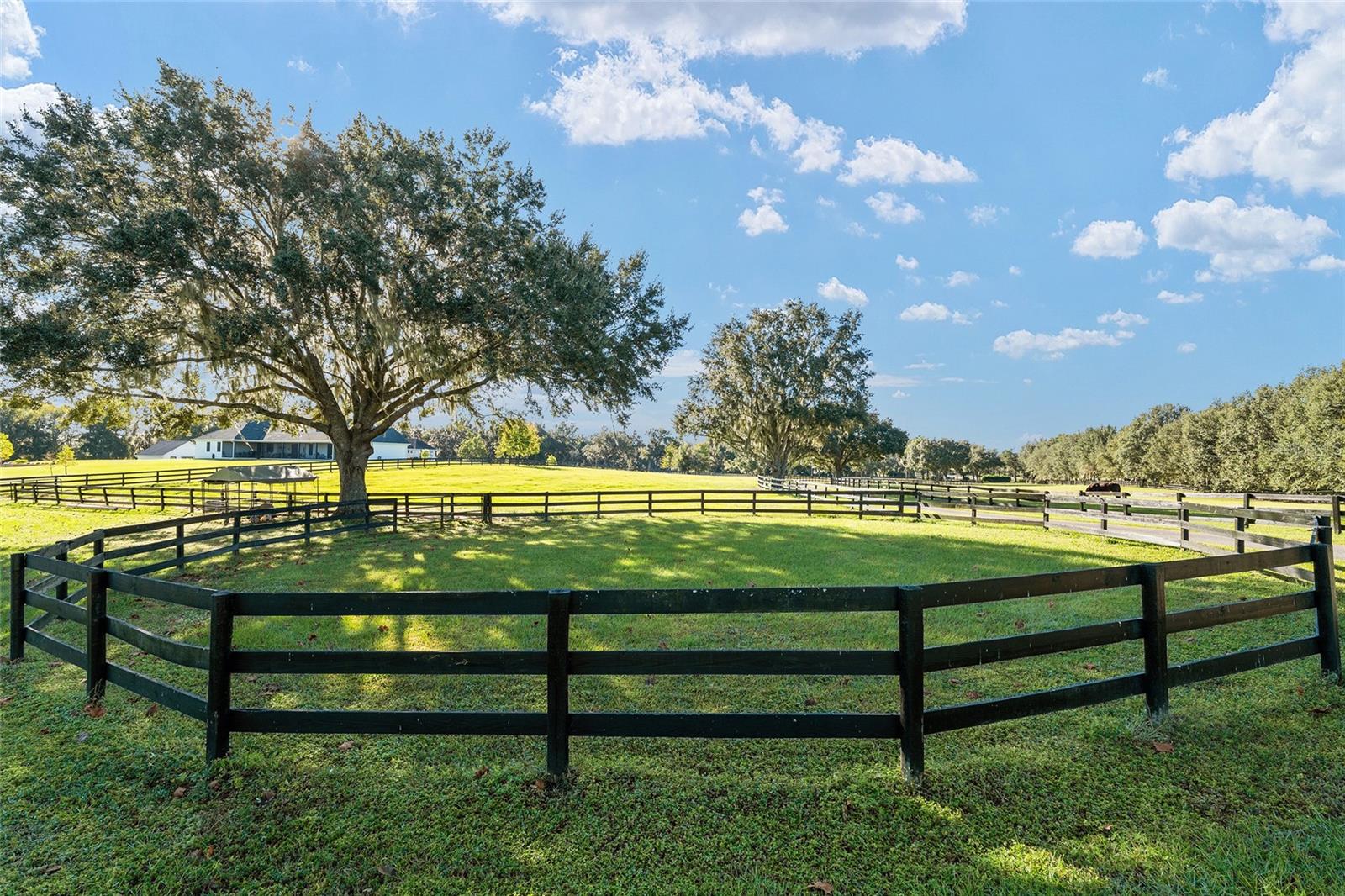 901 SW 87TH PL, OCALA, FL, 34476