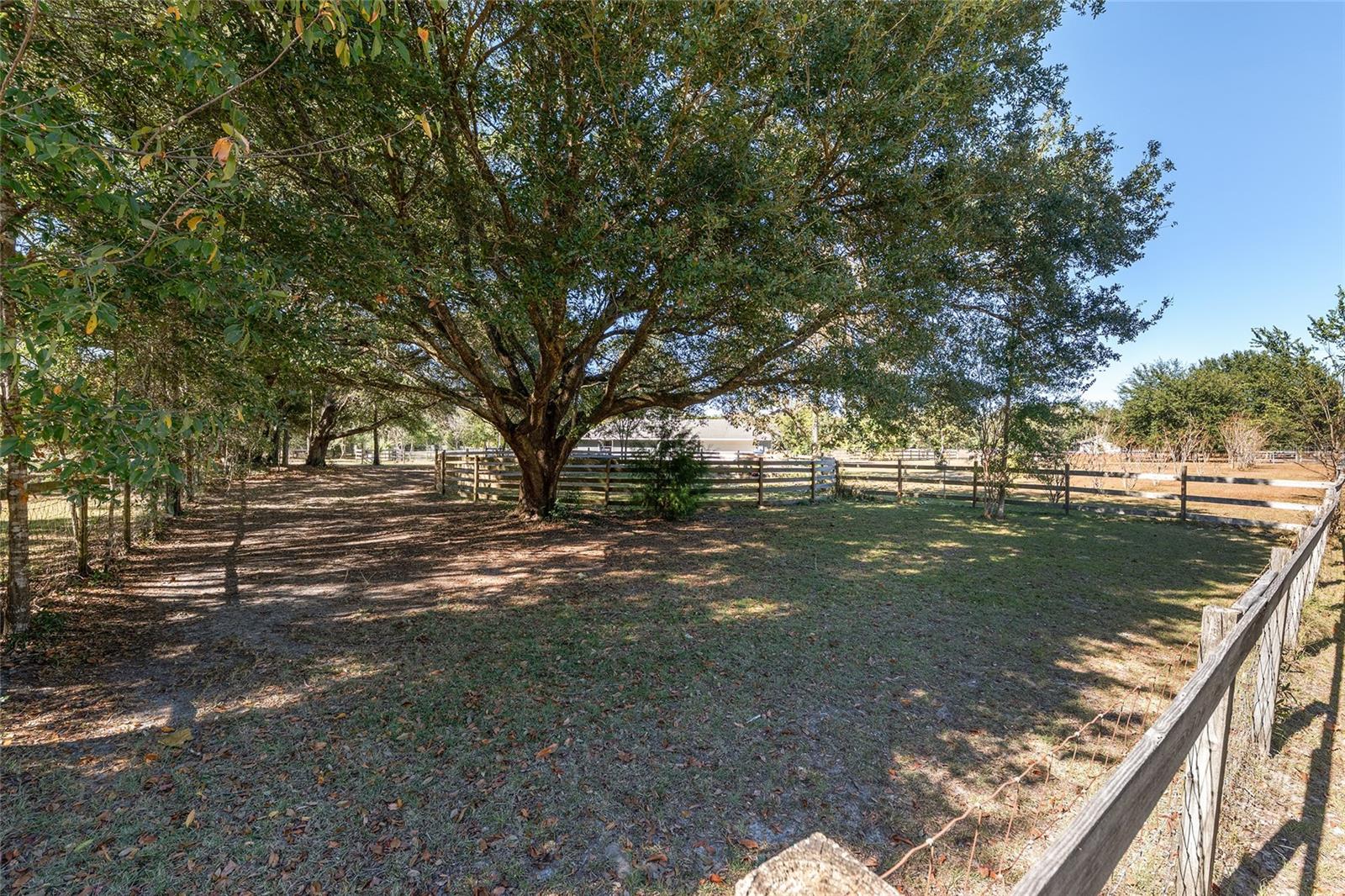 9128 NW 238TH ST, ALACHUA, FL, 32615