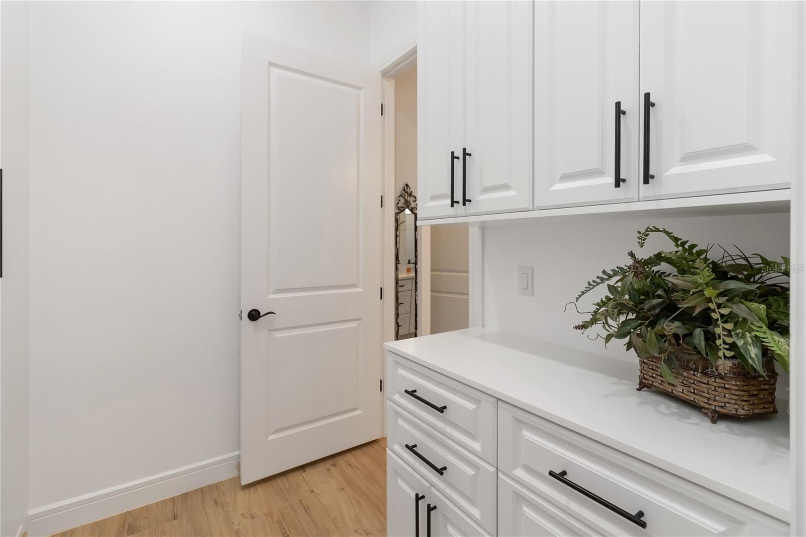 2555 PINE PRESERVE CT, ST CLOUD, FL, 34771