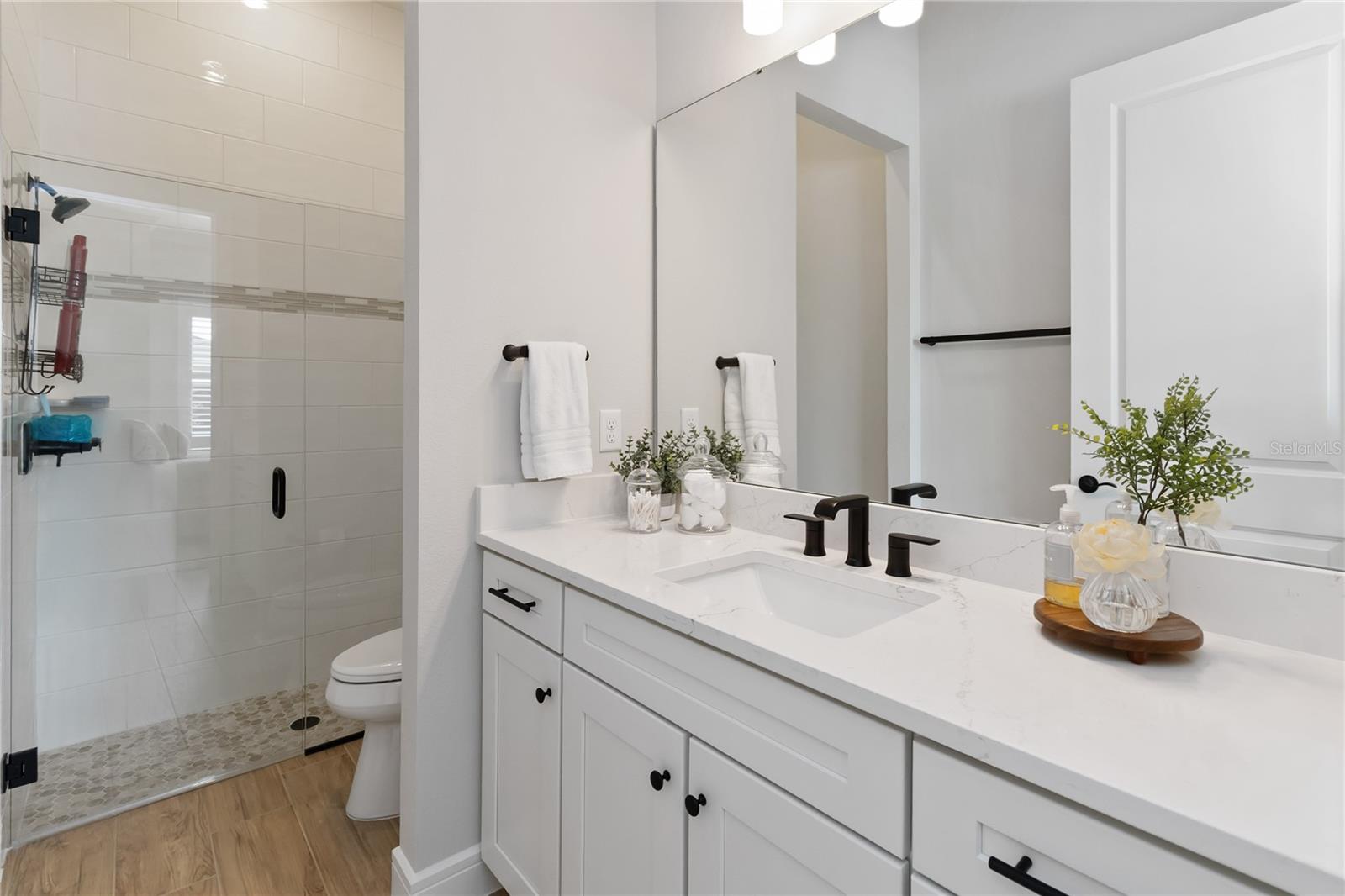 2555 PINE PRESERVE CT, ST CLOUD, FL, 34771