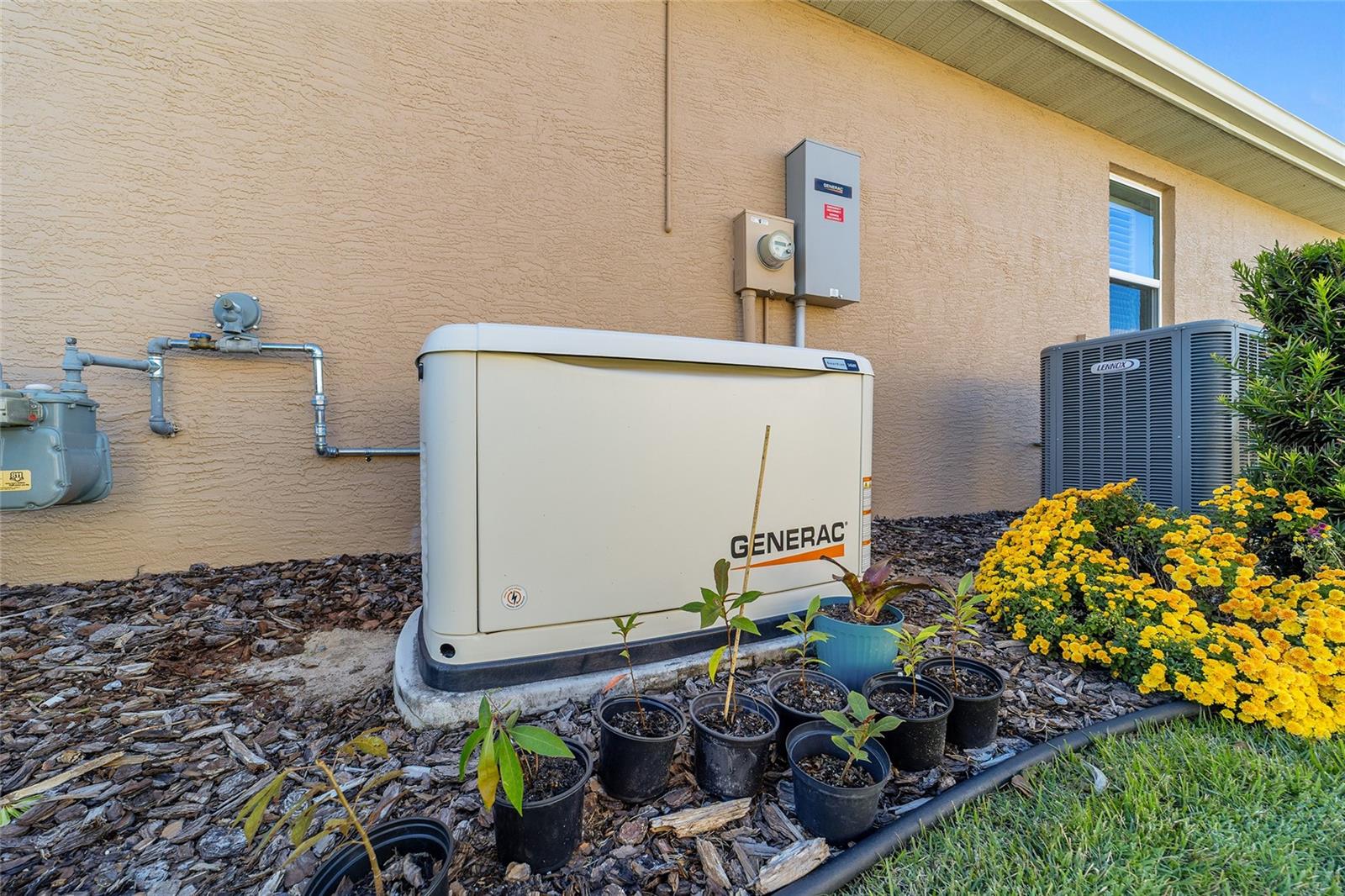 10119 SW 88TH ST, OCALA, FL, 34481