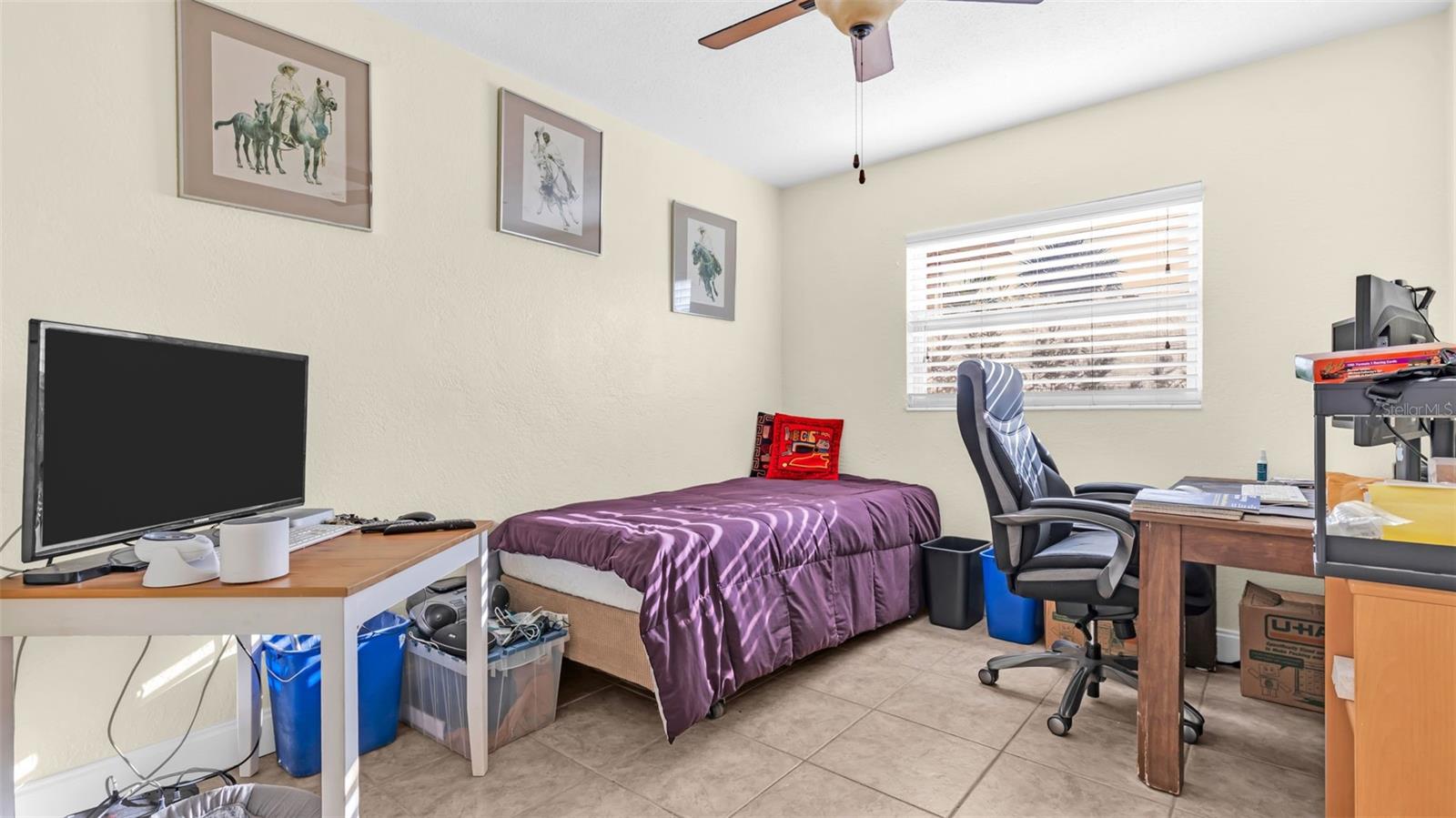 TB8445281 Property Photo