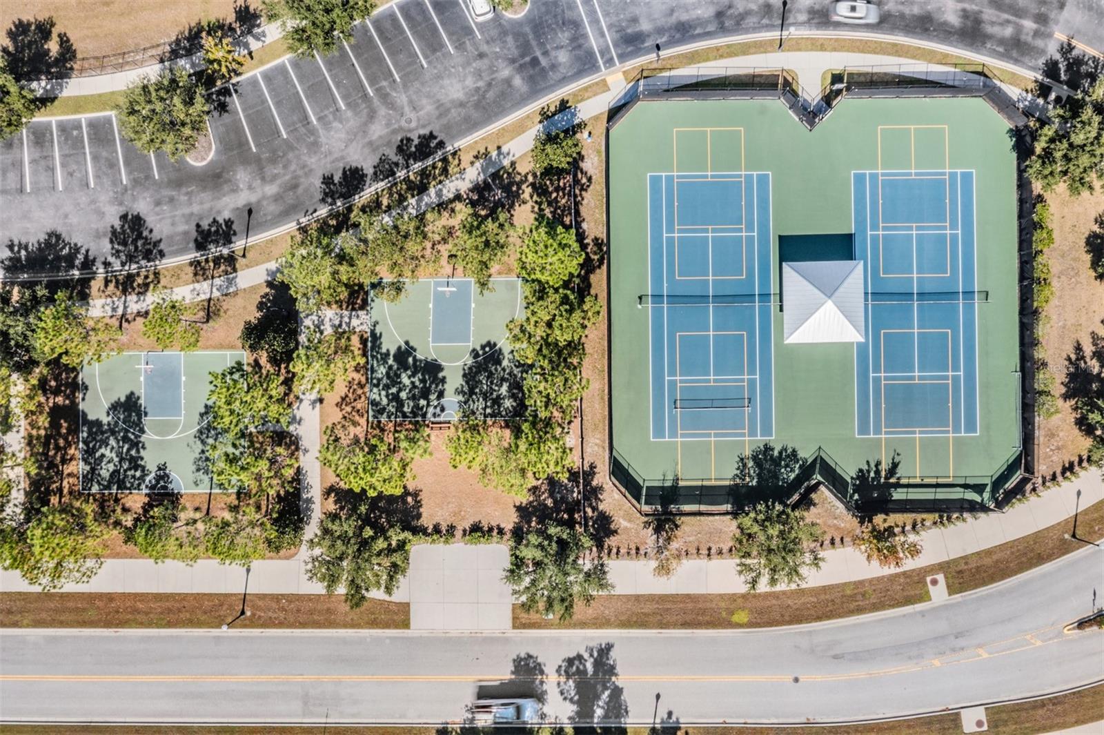 1570 FOX GRAPE LOOP, LUTZ, FL, 33558