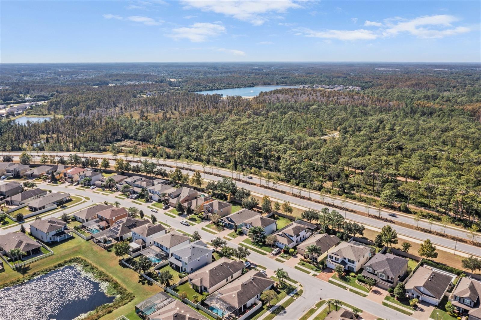 1570 FOX GRAPE LOOP, LUTZ, FL, 33558