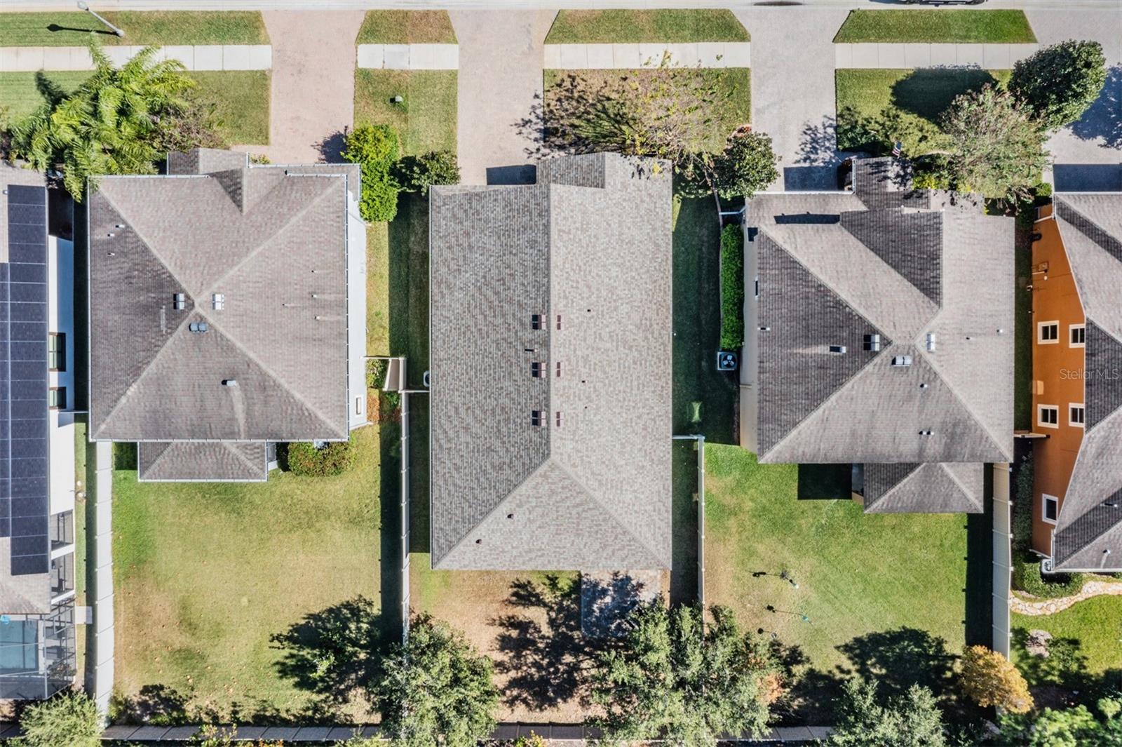 1570 FOX GRAPE LOOP, LUTZ, FL, 33558