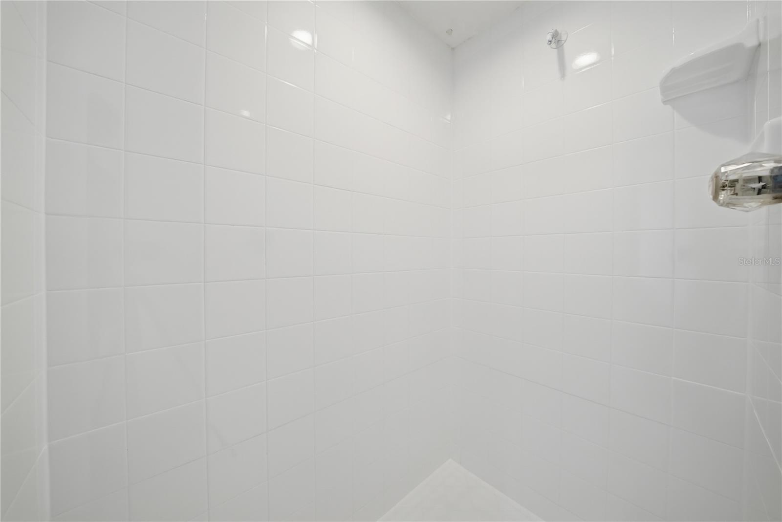 4710 LITTLE DENISE CT, VALRICO, FL, 33594