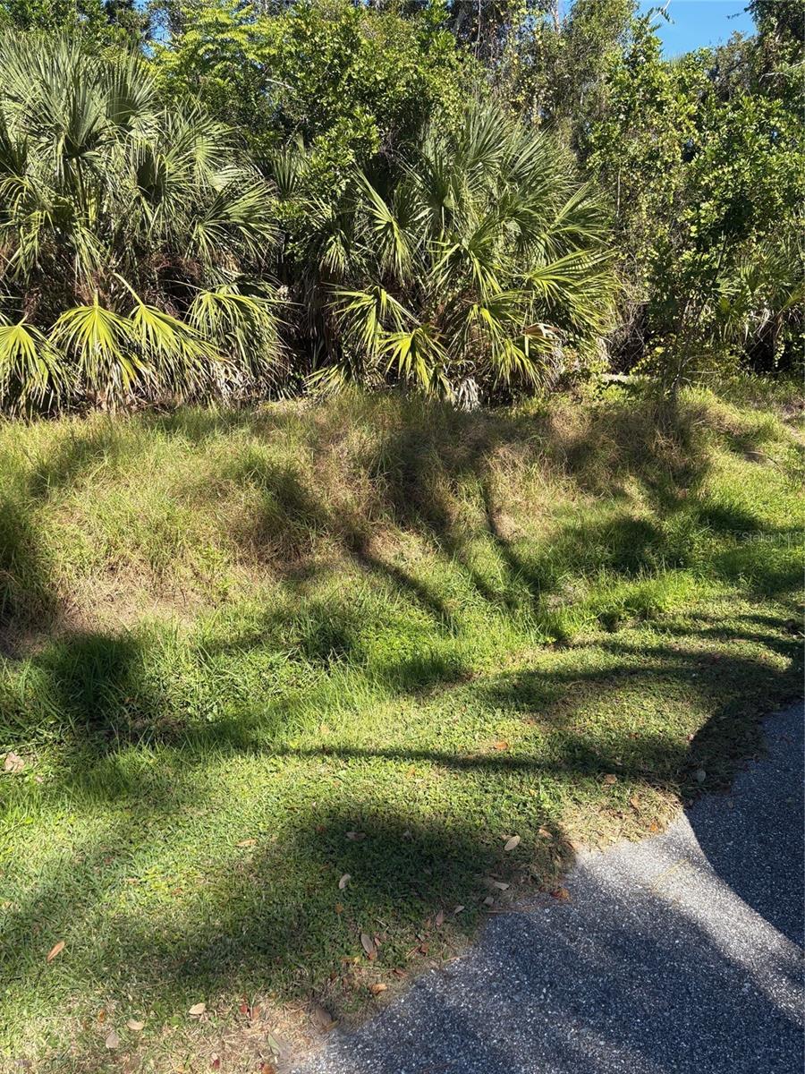 FESSLER ST, ENGLEWOOD, FL, 34223