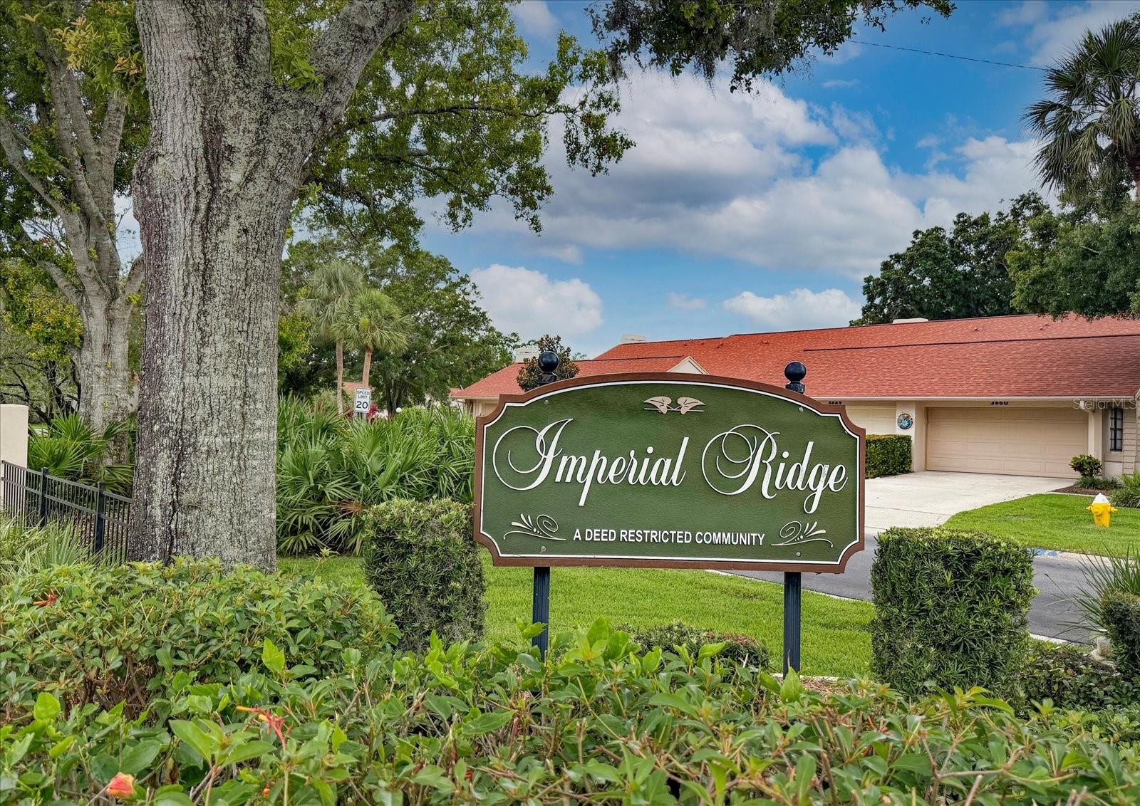 3687 IMPERIAL RIDGE PKWY, PALM HARBOR, FL, 34684