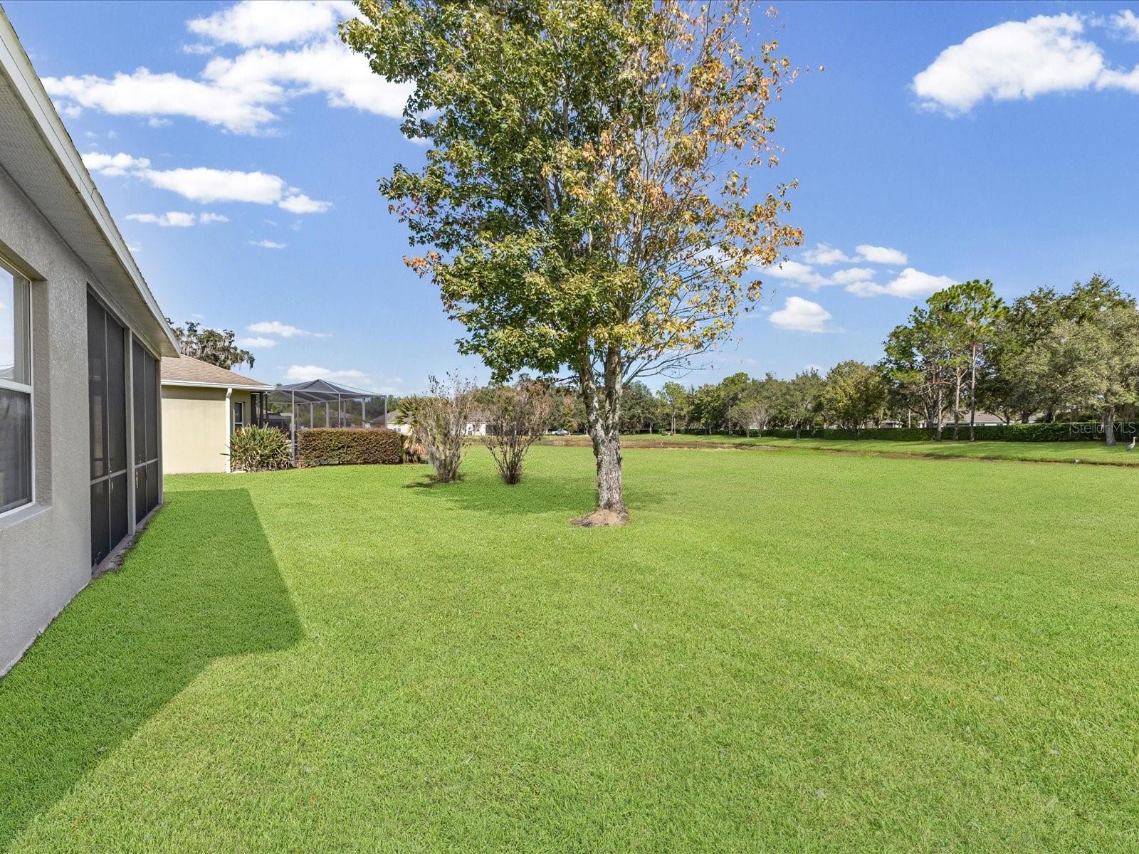 5347 CAPPLEMAN LOOP, BROOKSVILLE, FL, 34601