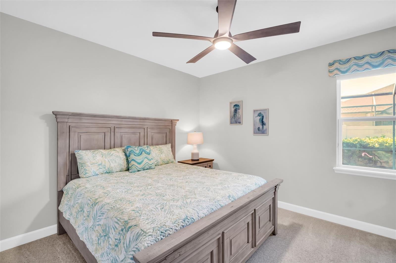 3638 ARBORETUM PL, PALM HARBOR, FL, 34683