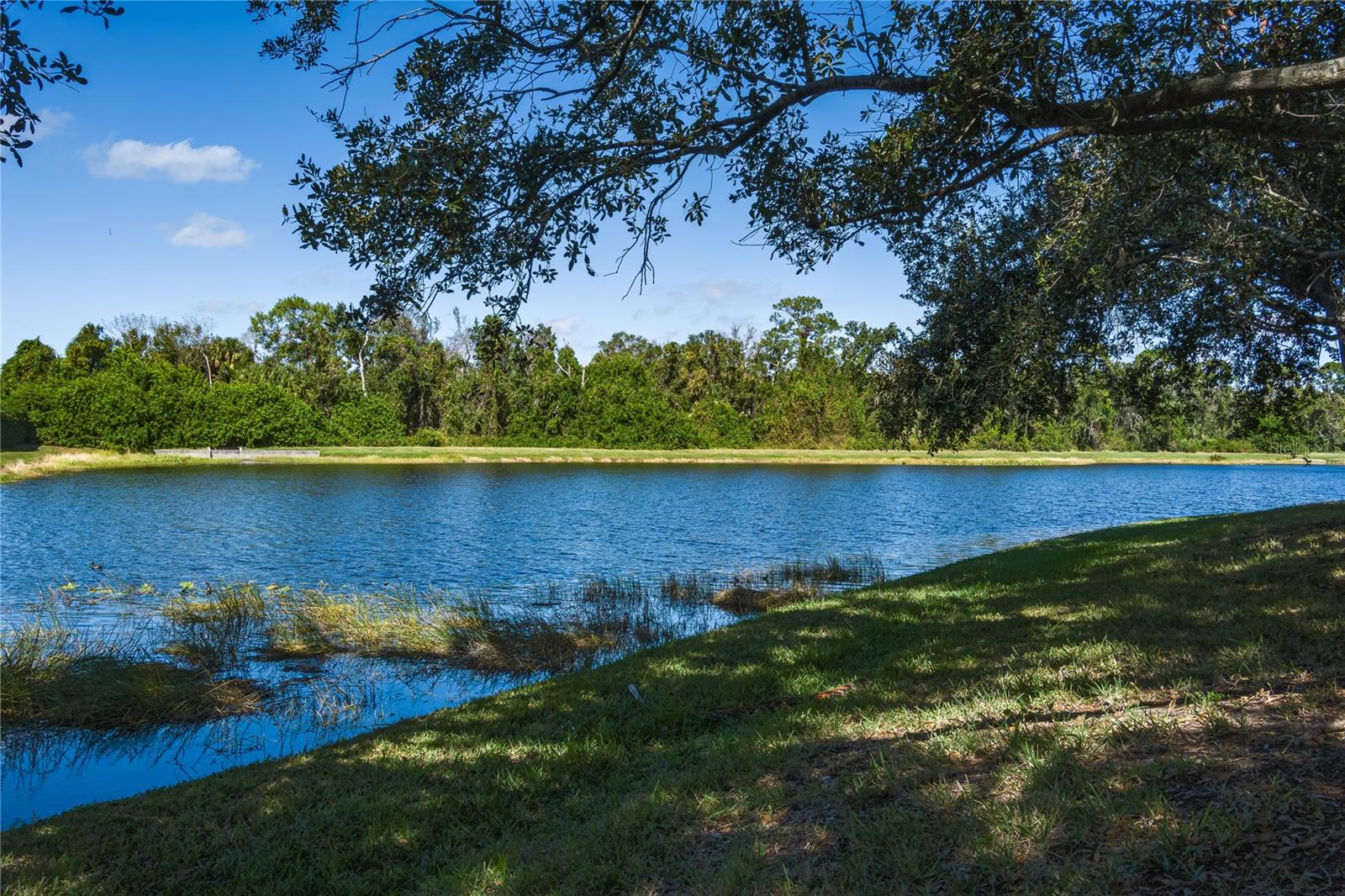 4804 78TH ST E, BRADENTON, FL, 34203