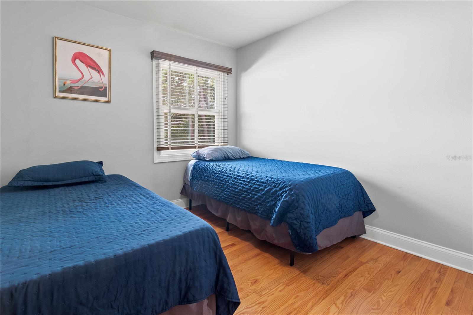 6515 DIMARCO RD, TAMPA, FL, 33634