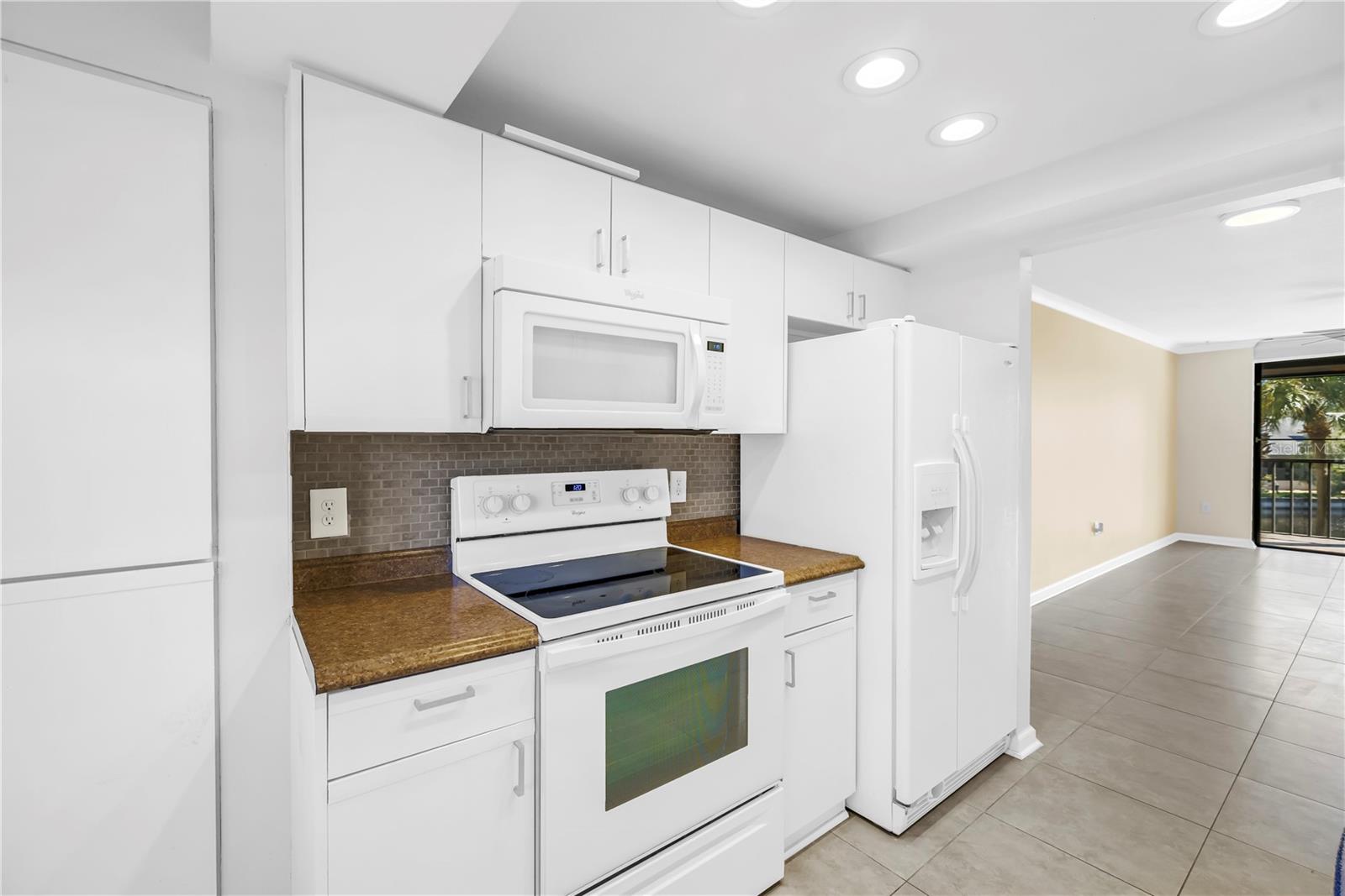 1320 PASADENA AVE S #203, SOUTH PASADENA, FL, 33707