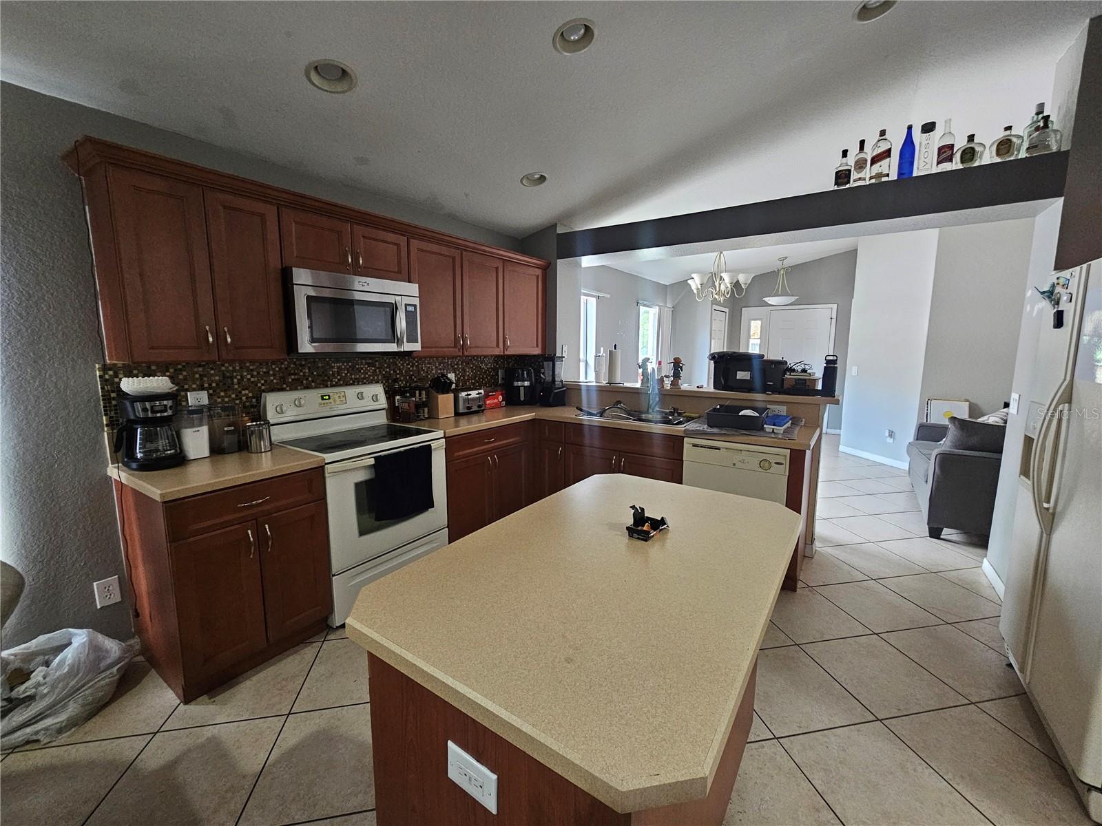 11349 PALM ISLAND AVE, RIVERVIEW, FL, 33569