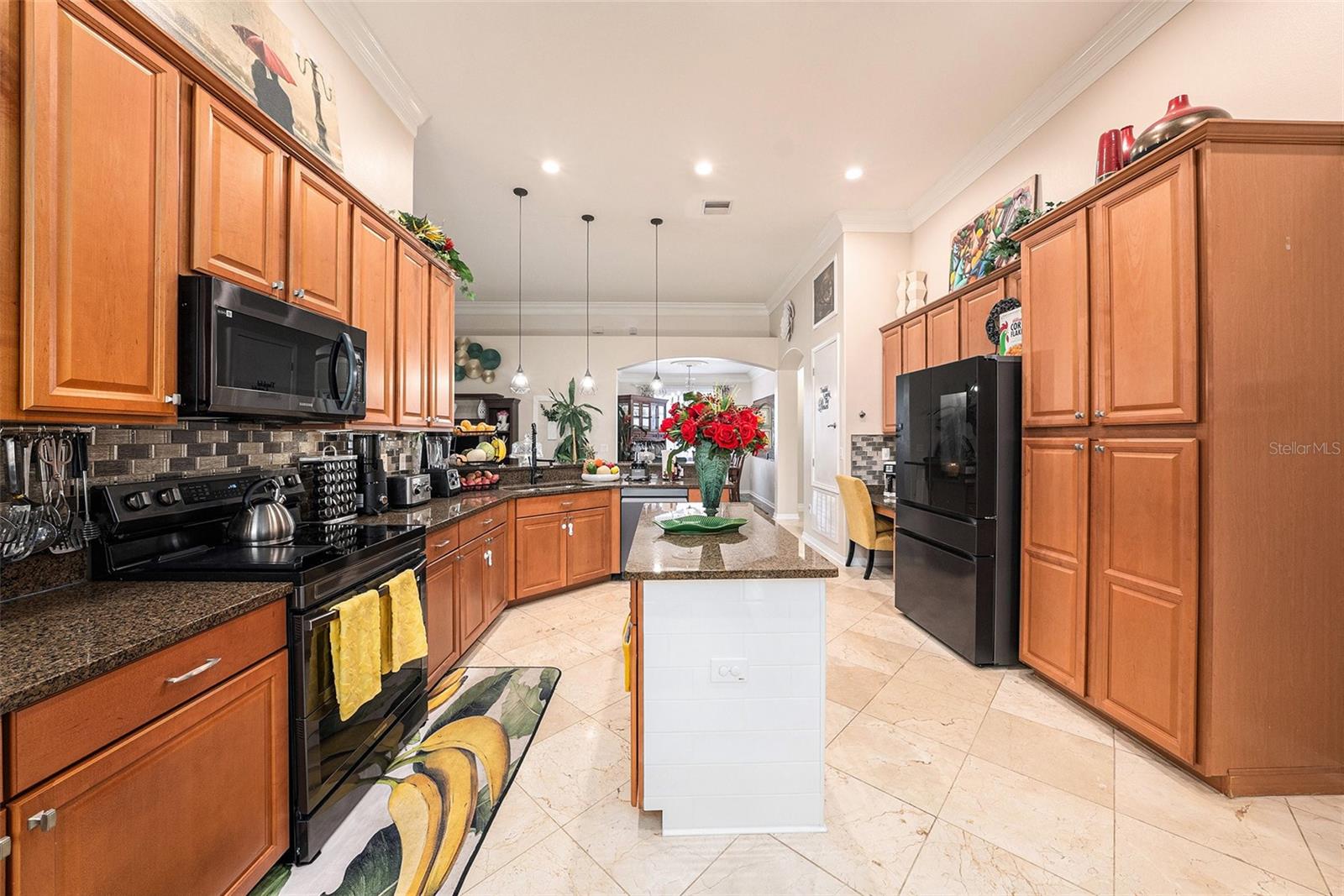 13248 GRAHAM YARDEN DR, RIVERVIEW, FL, 33579