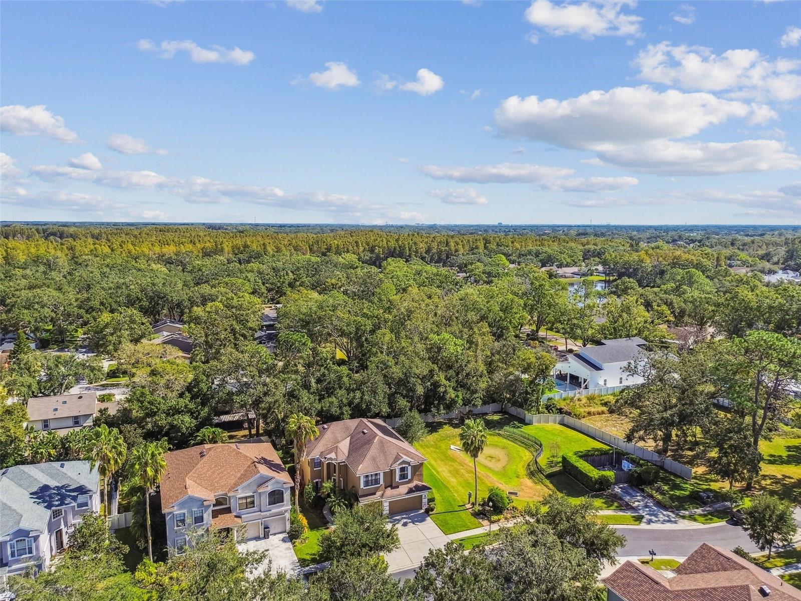 15613 N HIMES AVE, TAMPA, FL, 33618