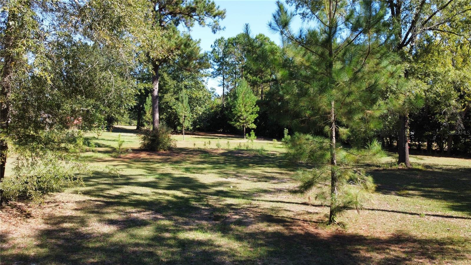 3174 WESTWOOD DR, MARIANNA, FL, 32446