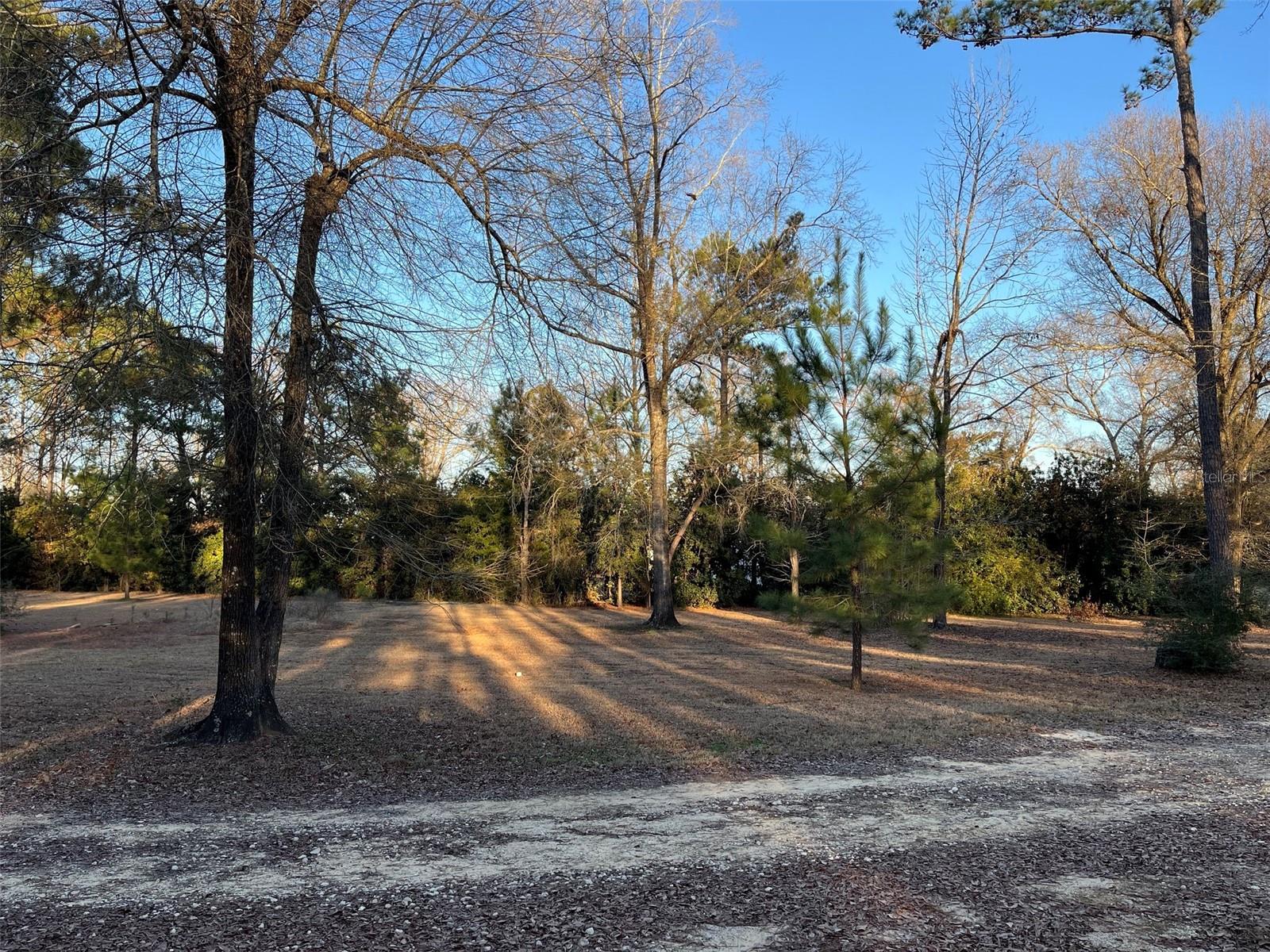 3174 WESTWOOD DR, MARIANNA, FL, 32446