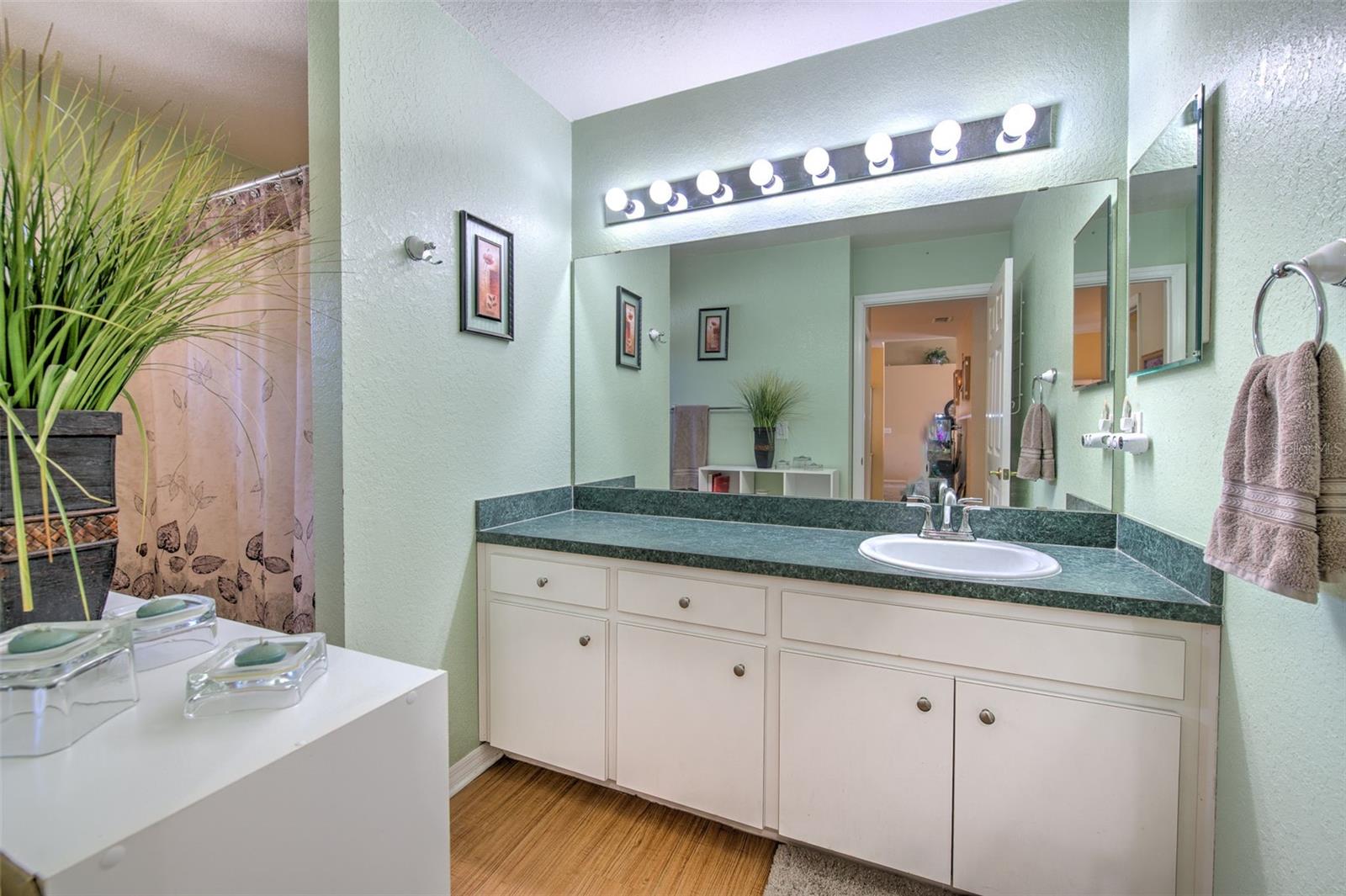 6537 CREWS VUE LOOP, LAKELAND, FL, 33813