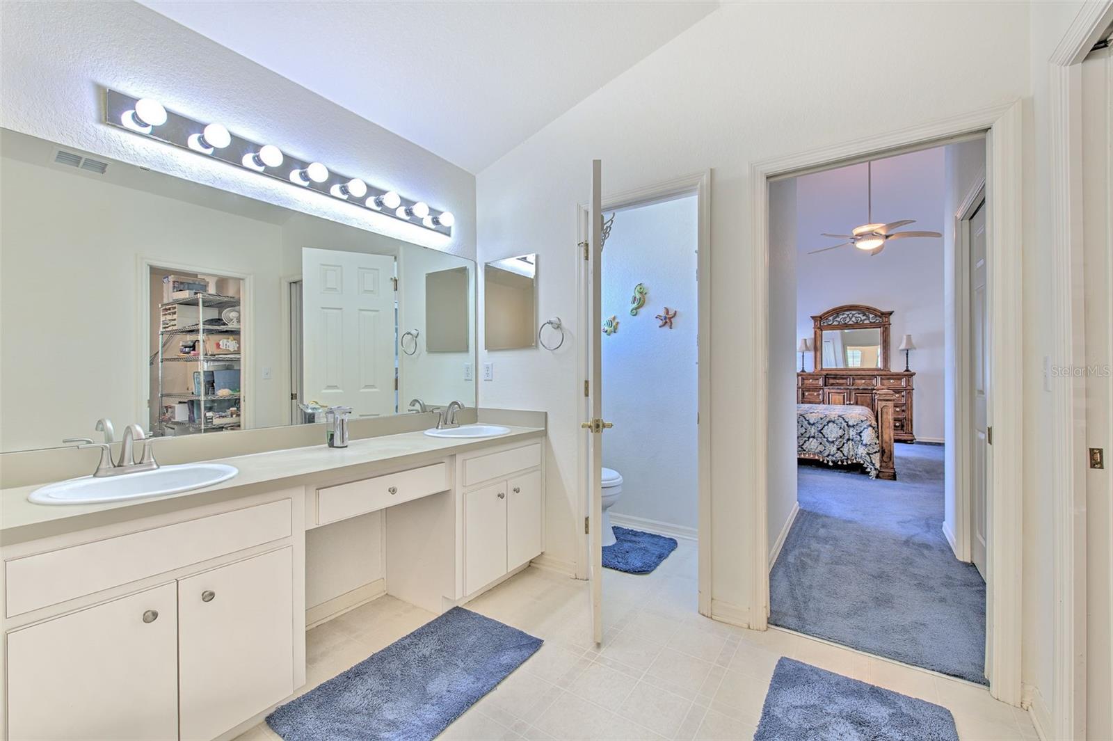 6537 CREWS VUE LOOP, LAKELAND, FL, 33813