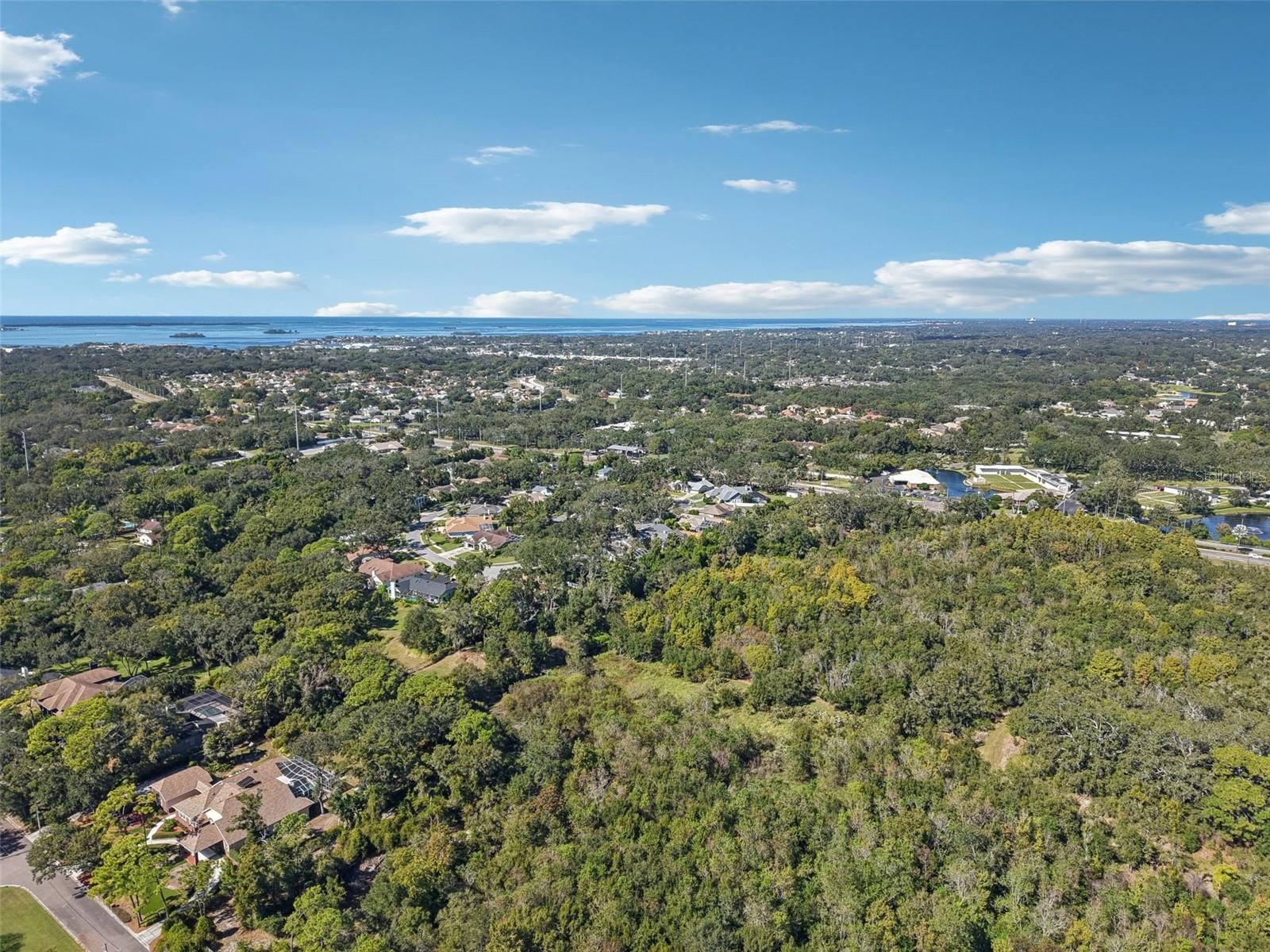 2654 CRYSTAL CIR, DUNEDIN, FL, 34698