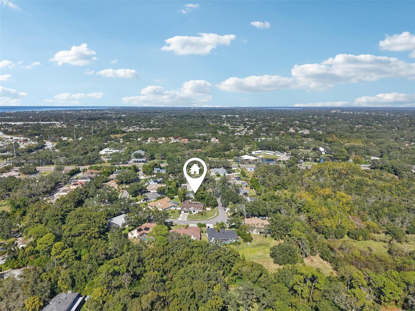 2654 CRYSTAL CIR, DUNEDIN, FL, 34698