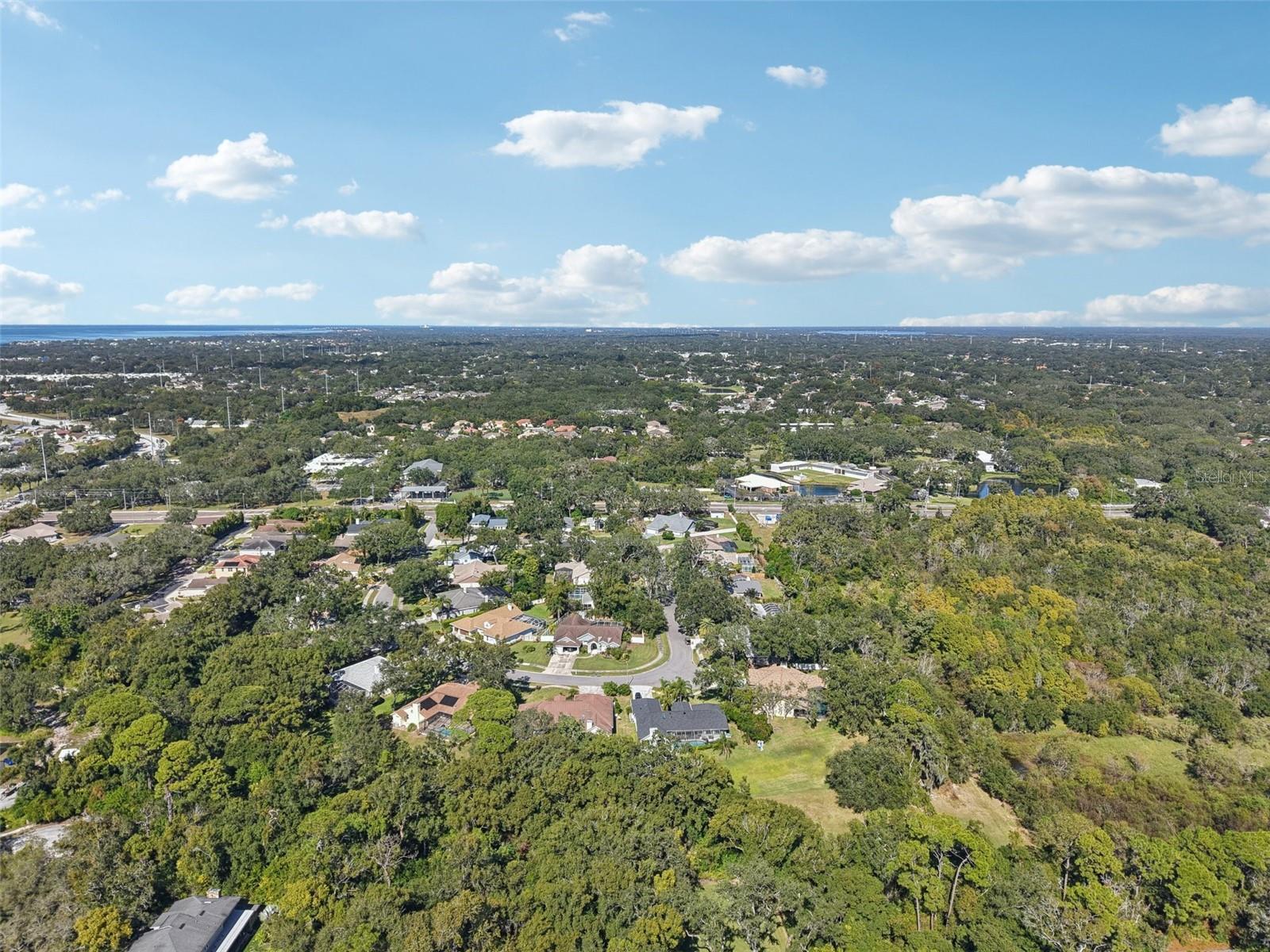 2654 CRYSTAL CIR, DUNEDIN, FL, 34698