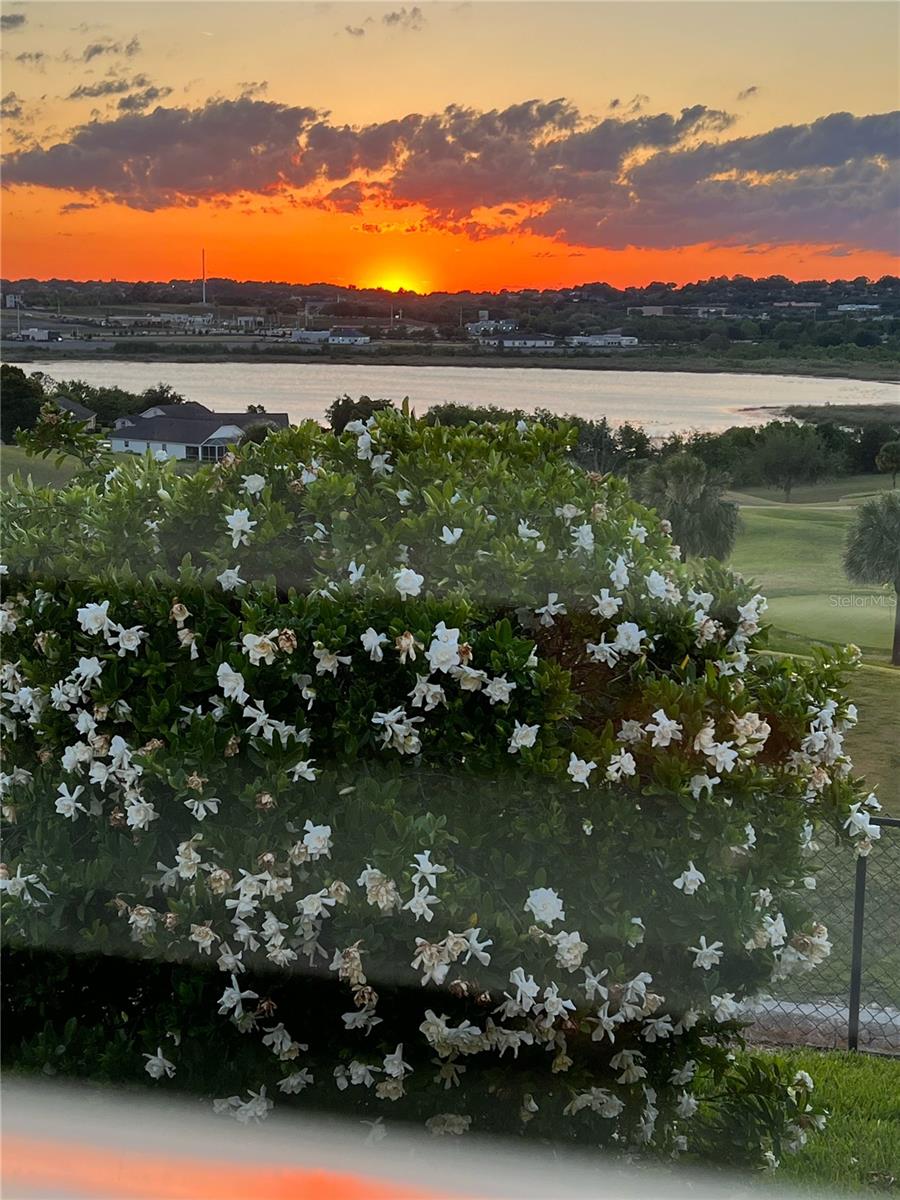 3516 CHAPEL HILL BLVD, CLERMONT, FL, 34711